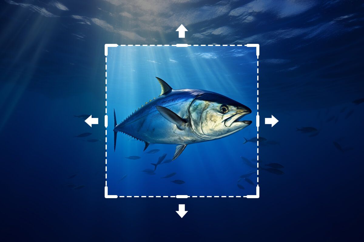 Image of a fish being extended with outpaint