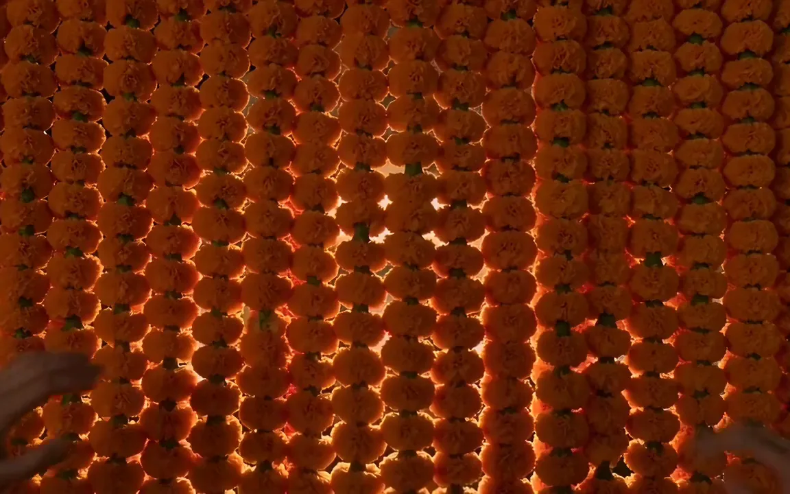 Wan 2.2 video of hands parting marigold garlands to reveal a lit wedding mandap at night