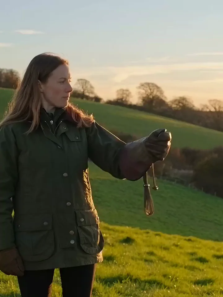 Clip aus dem KI-Video-Generator mit einem Habicht, der zur goldenen Stunde auf dem Lederhandschuh einer Falknerin landet