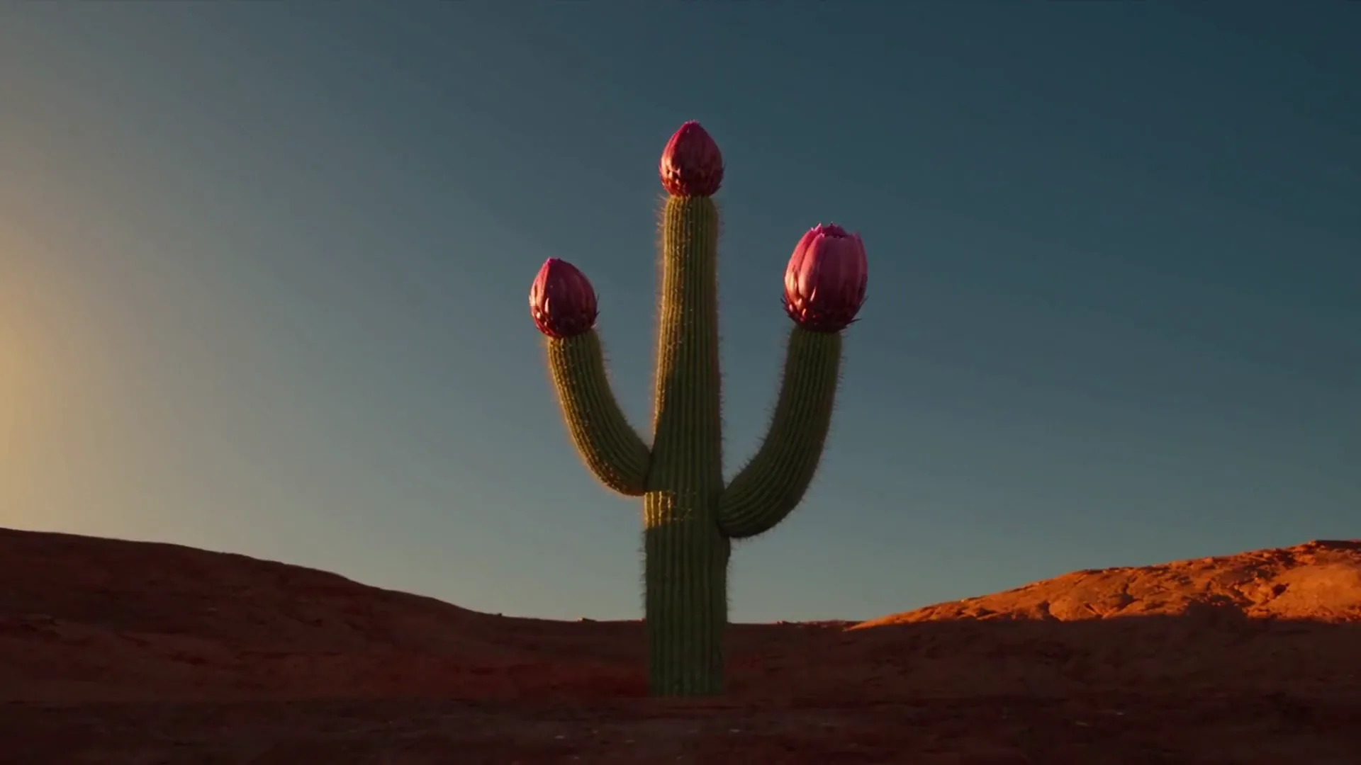 Clip aus Runway Gen-4.5: Ein Saguaro-Kaktus in einer roten Wüste öffnet riesige magentafarbene Blüten, Ein orangefarbener Gleitschirm gleitet an einer steilen grünen Felswand vorbei, Mit Runway AI erstellt: Eine weiße Rakete hebt im Morgengrauen von ihrer Startrampe ab, Ein Waldhüter mit Geweih steht in der Dämmerung inmitten von Ringen aus leuchtend goldenem Laub