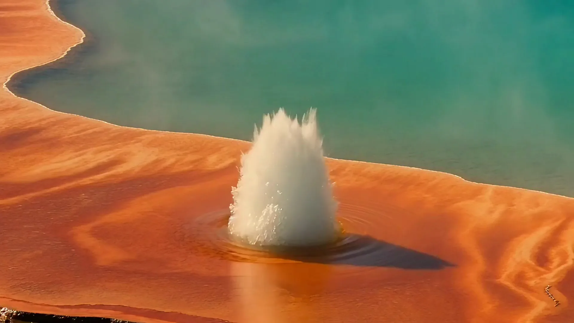 Seedance video of a geyser erupting beside a turquoise hot spring on orange mineral terraces, Seedance AI video of a cougar leaping over a fallen tree trunk in a golden aspen forest, Frilled lizard flaring its orange frill on a red rock at golden hour, Phoenix of orange flame spreading its wings on a dark cliff at dusk