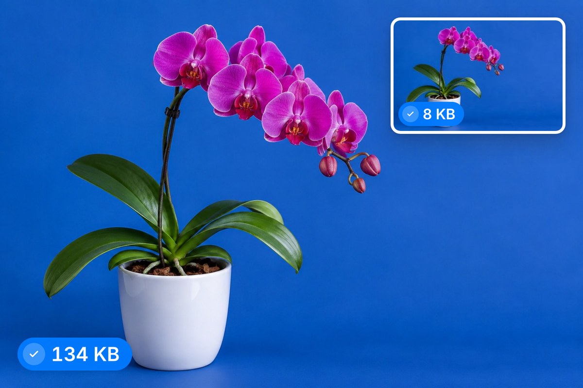 A magenta orchid on a cobalt blue backdrop saved as a full-width banner and a small thumbnail, each JPG with its own size.