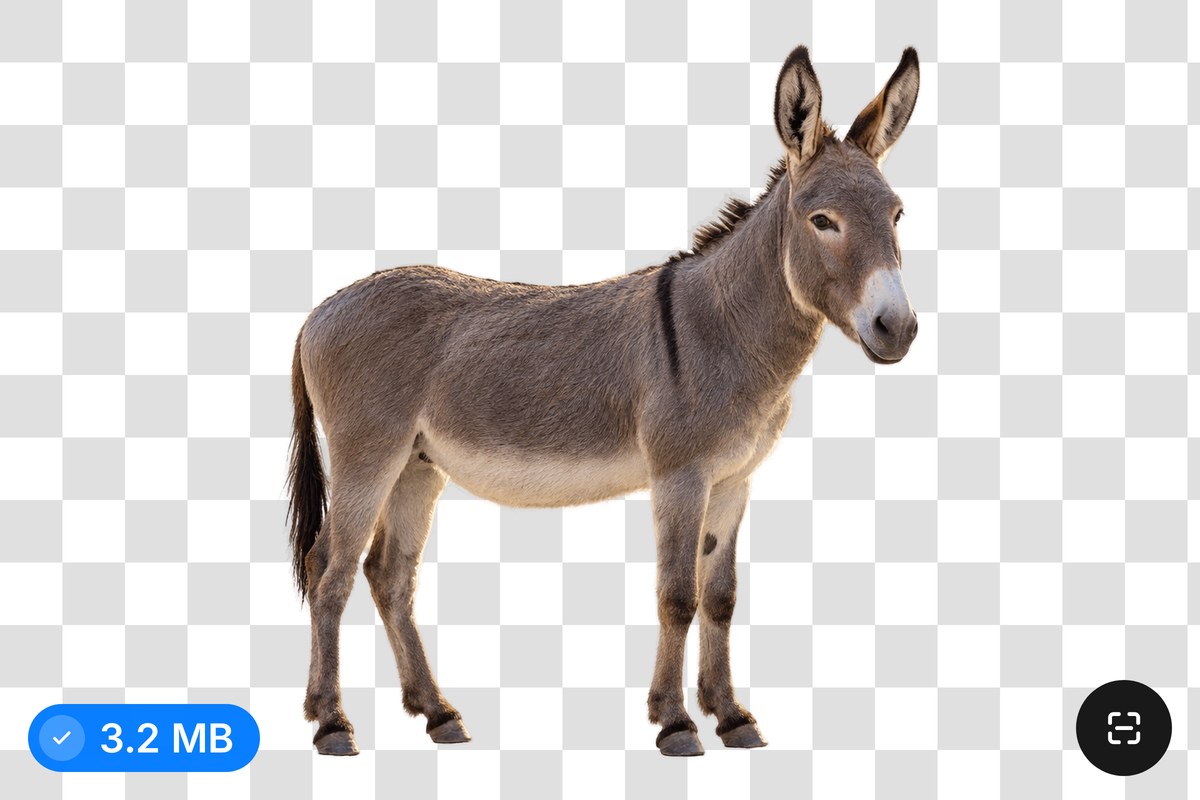A small grey donkey PNG cutout on a transparent background, compressed to a smaller file with its clean edges kept.