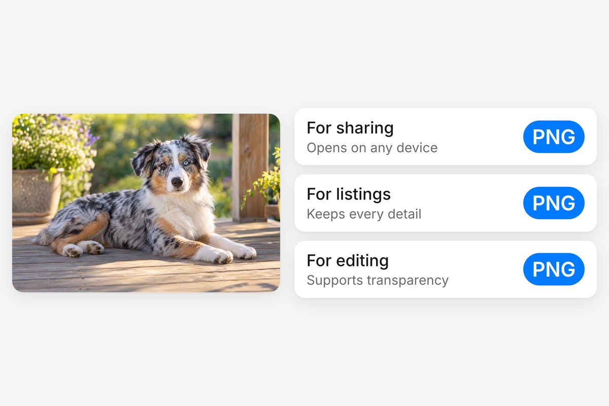 A blue merle Australian shepherd on a sunny porch beside three PNG uses: sharing, listings and editing.