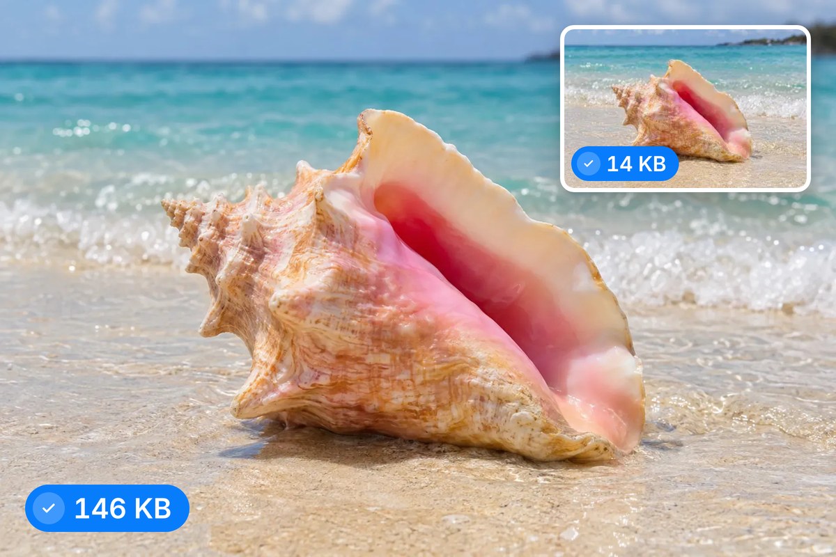 A pink queen conch shell on wet sand saved as a full-width WebP banner and a small WebP thumbnail, each with its file size.