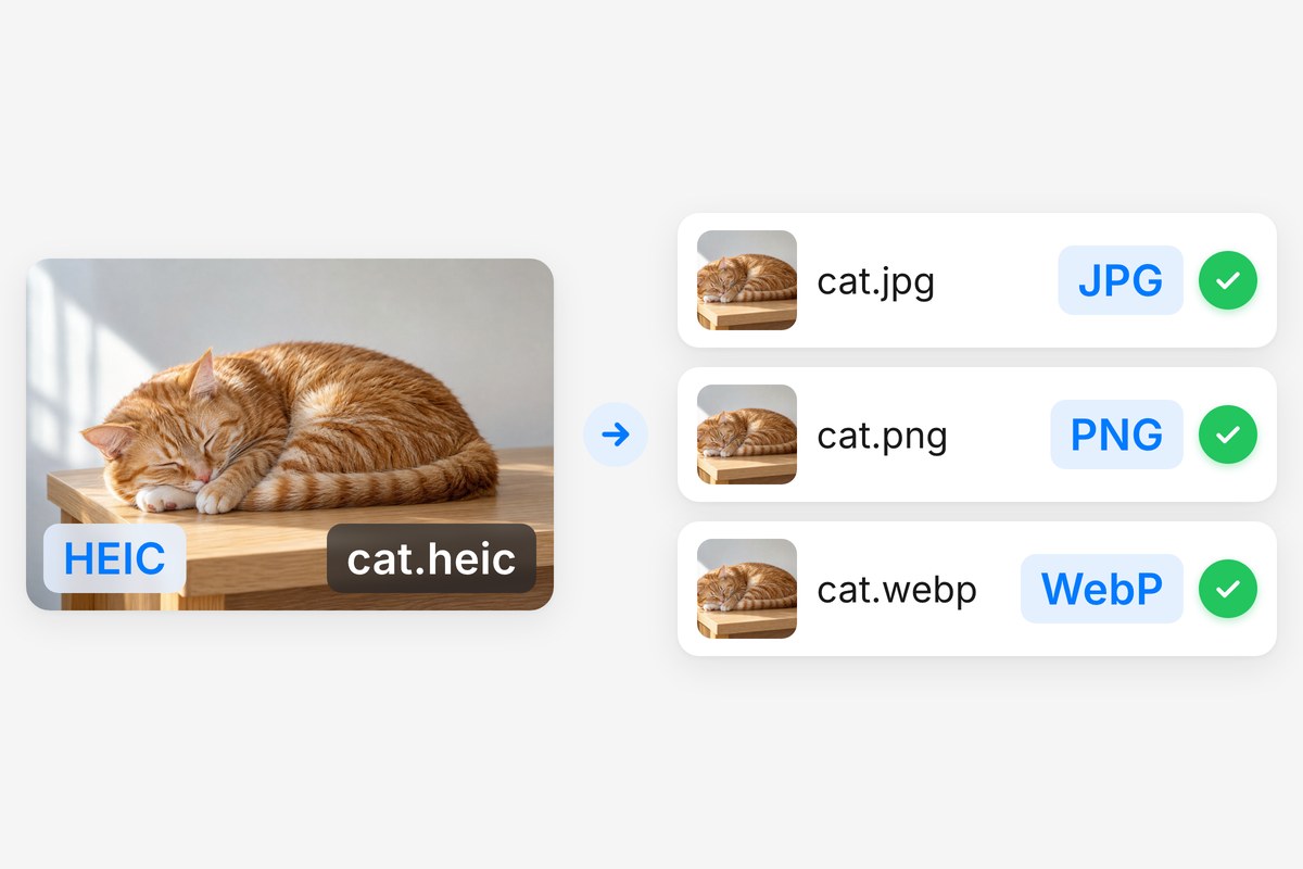 One HEIC cat photo fanned out into JPG, PNG, and WebP files, every format the image converter covers.