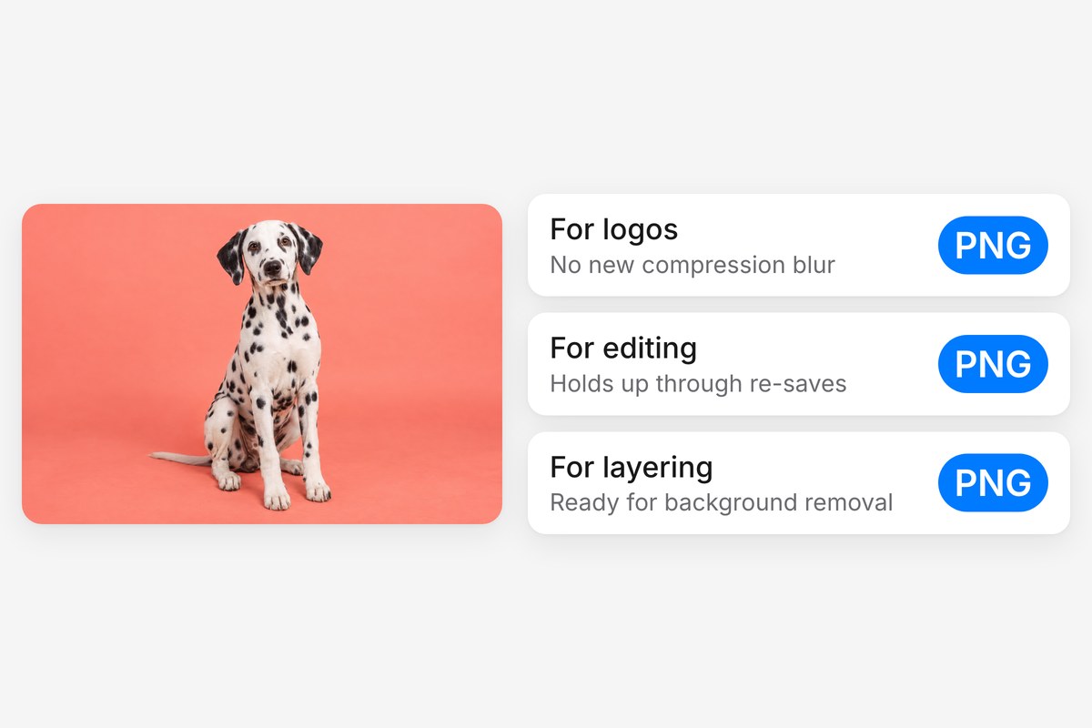 A dalmatian photo beside three PNG uses: logos, editing and layering, with the file ready for background removal.