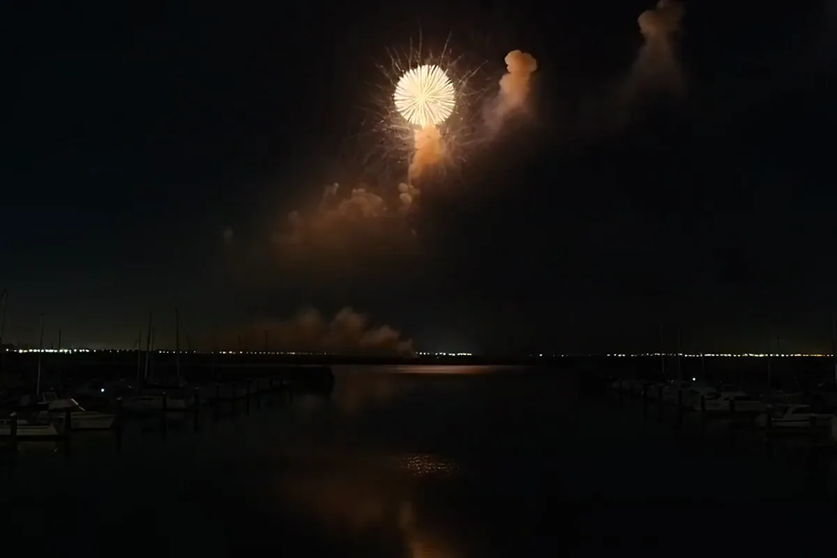 Seedance video of gold and magenta fireworks blooming over a dark harbor at night