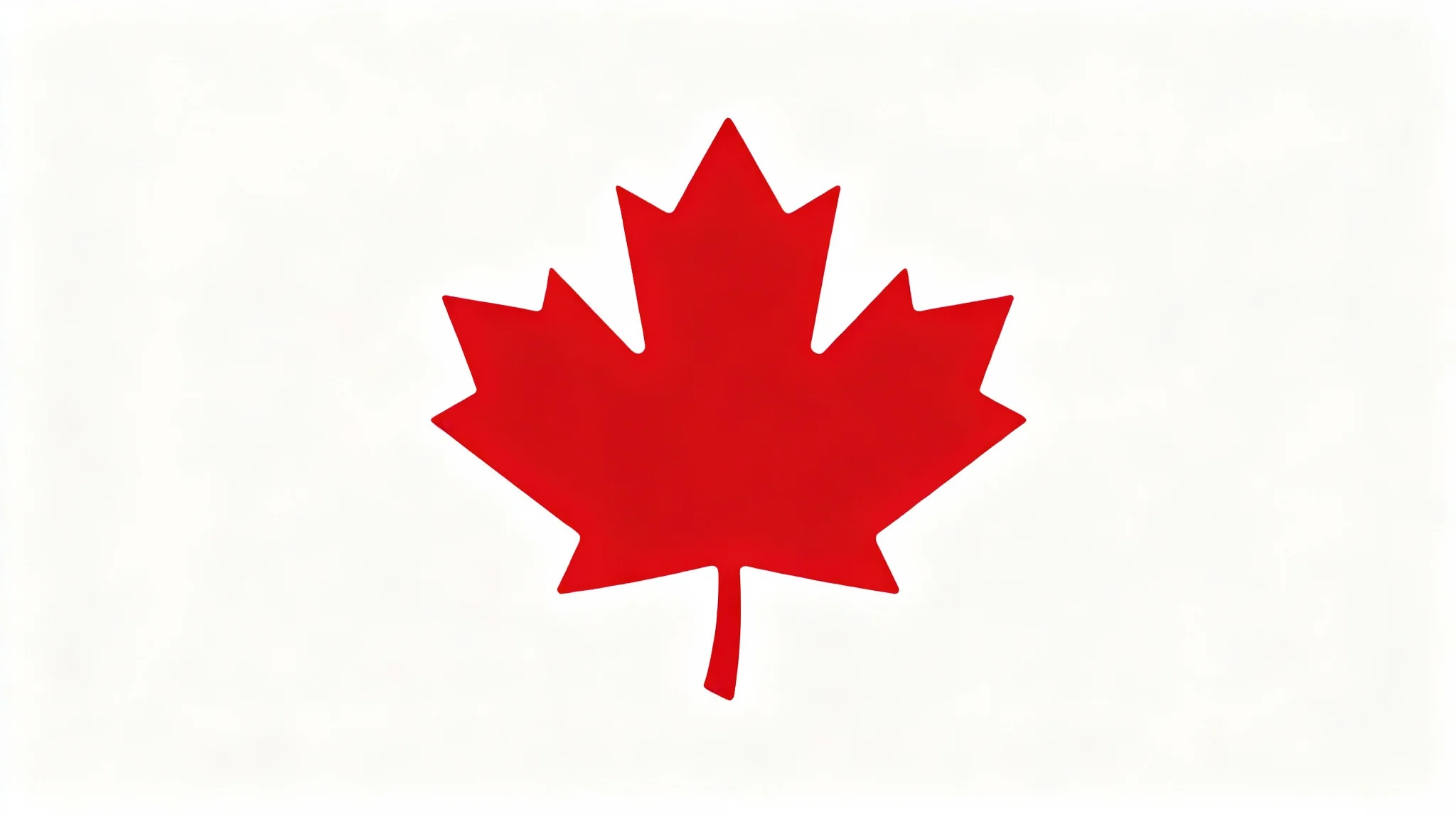 A modern, flat design icon of a vibrant red maple leaf, centered on a plain white background.