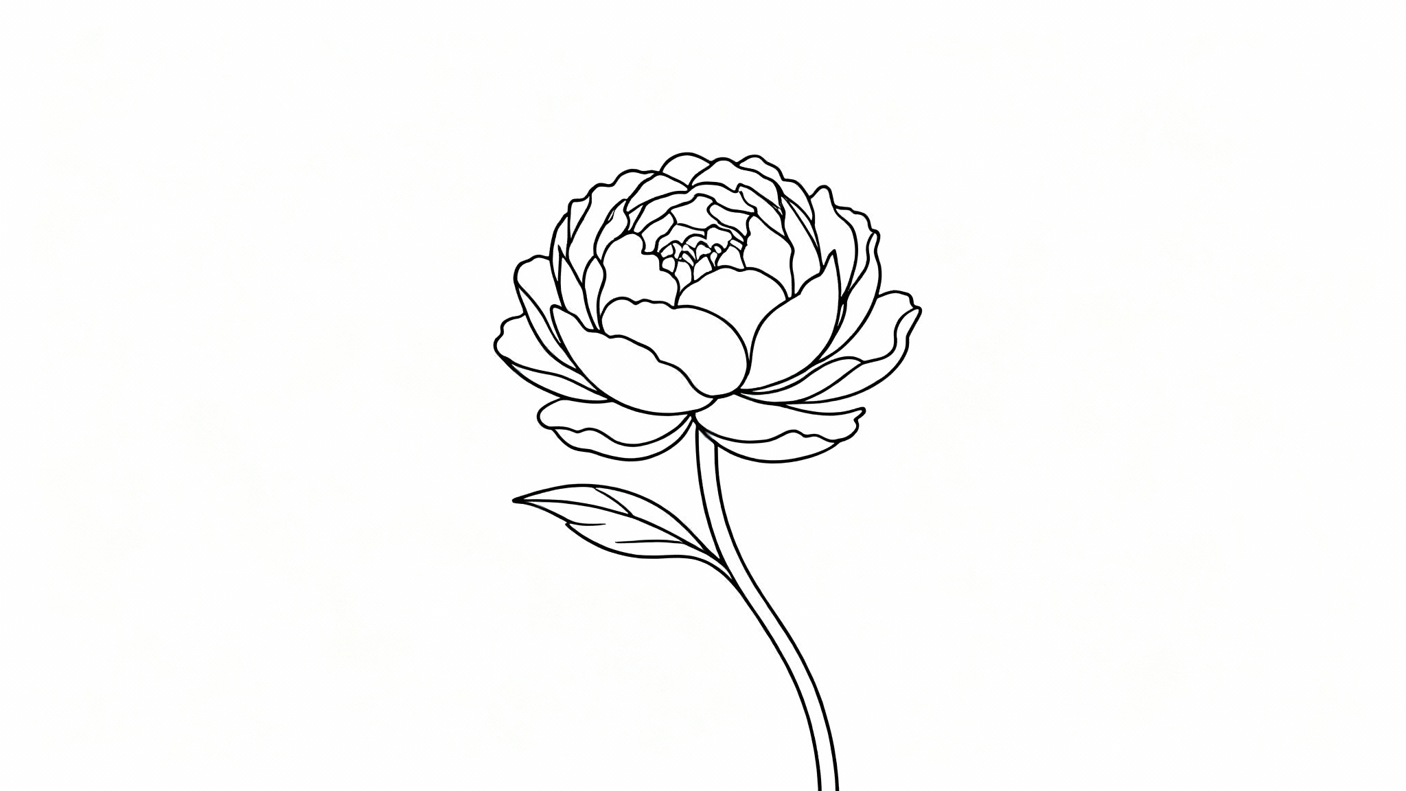 A minimalist black line art illustration of a peony flower on a white background. The single, clean line art defines the delicate petals and stem, creating a simple and elegant image.