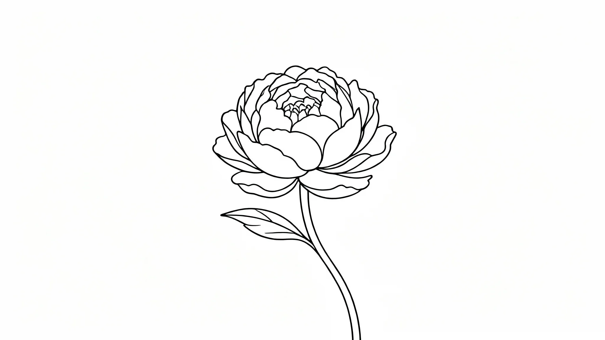 A minimalist black line art illustration of a peony flower on a white background. The single, clean line art defines the delicate petals and stem, creating a simple and elegant image.