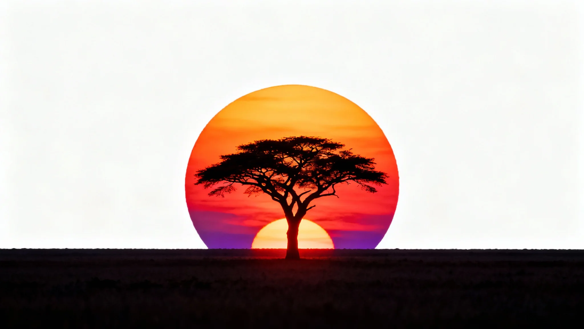 A stark silhouette of a single acacia tree on the African savanna against a massive, vibrant orange and red setting sun.