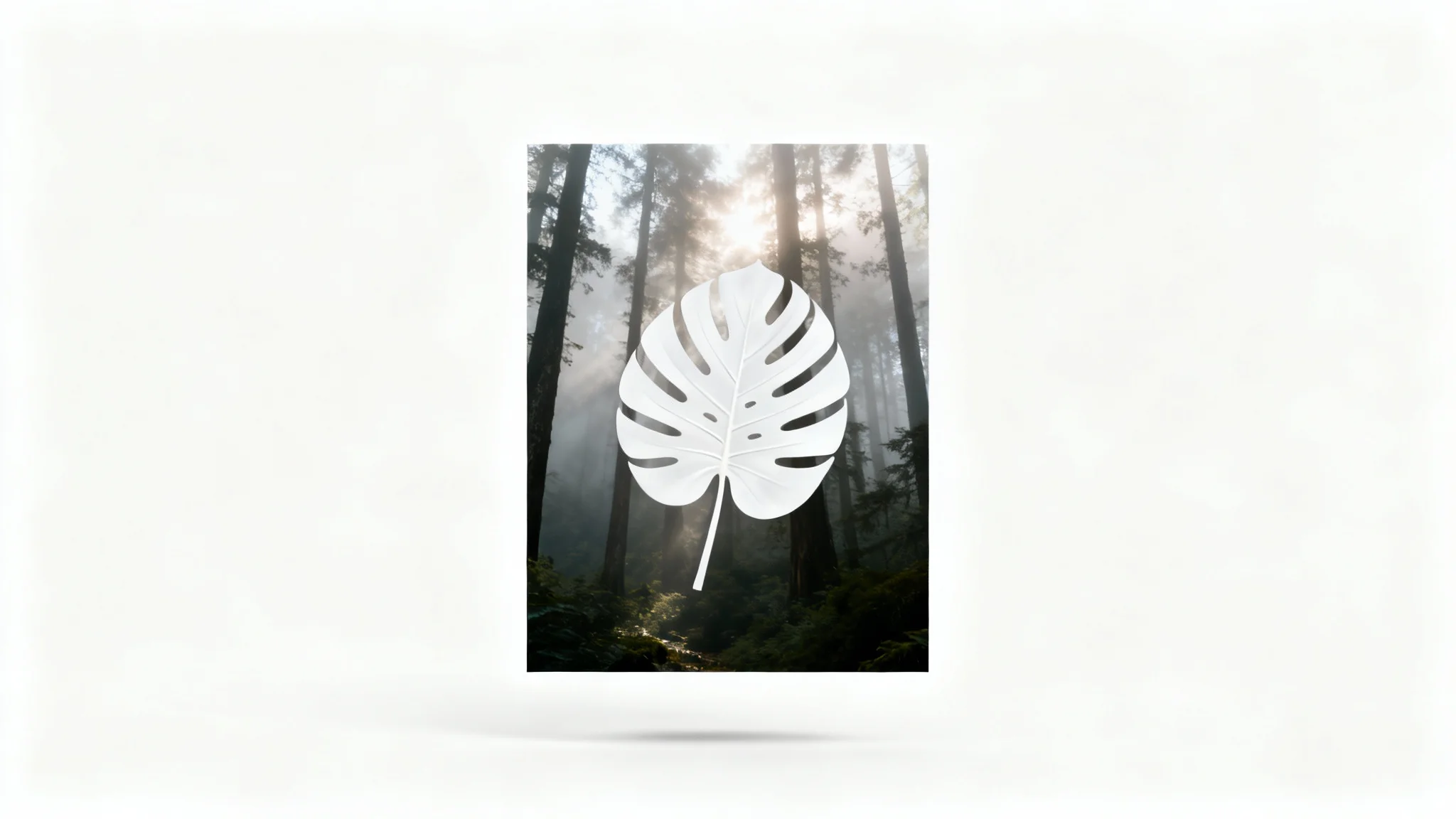 An artistic representation of an image overlay, showing a semi-transparent white monstera leaf graphic placed over a photograph of a misty forest scene, all on a white background.