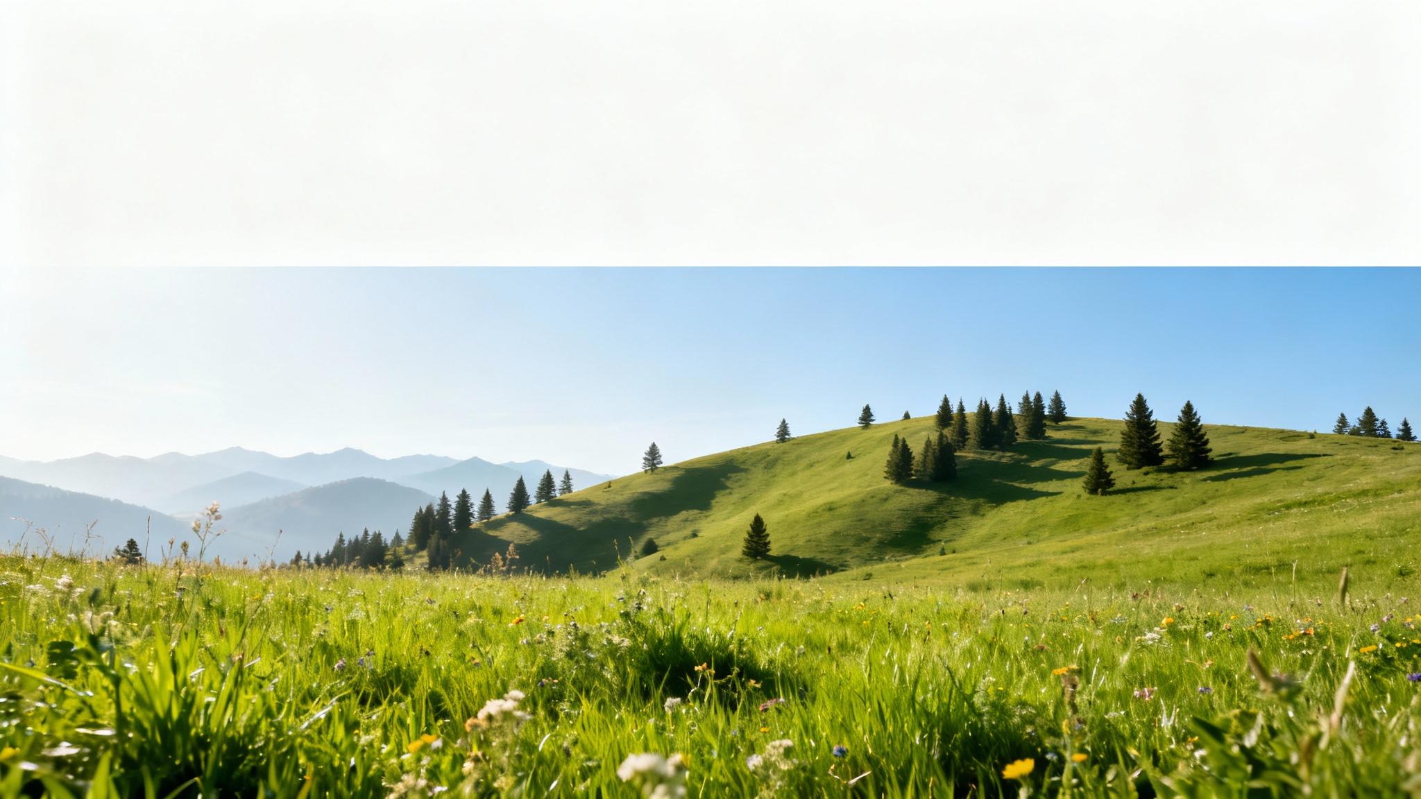 A beautiful layered landscape illustrating the parallax effect, with wildflowers in the foreground, a green hill in the midground, and mountains in the distance, showing a sense of depth.