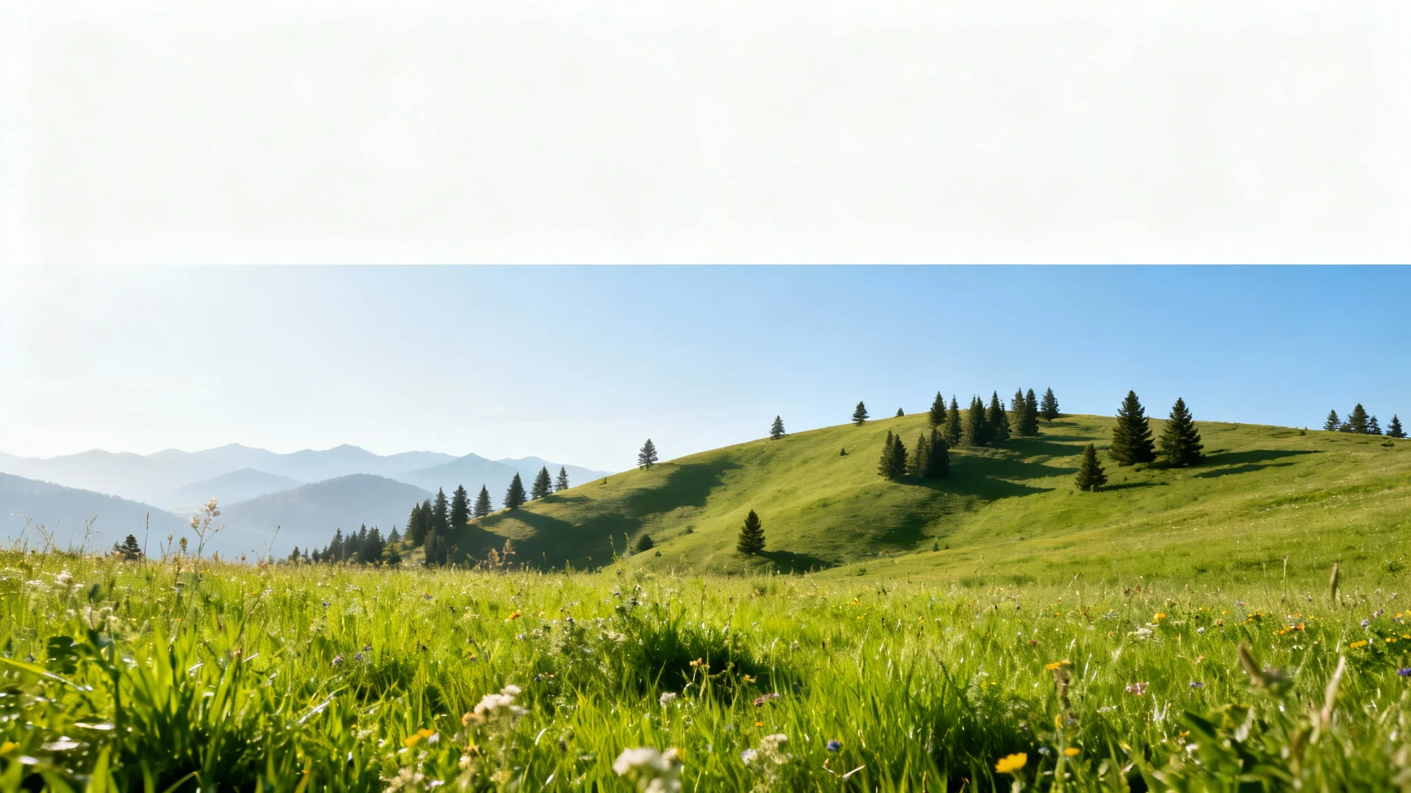 A beautiful layered landscape illustrating the parallax effect, with wildflowers in the foreground, a green hill in the midground, and mountains in the distance, showing a sense of depth.