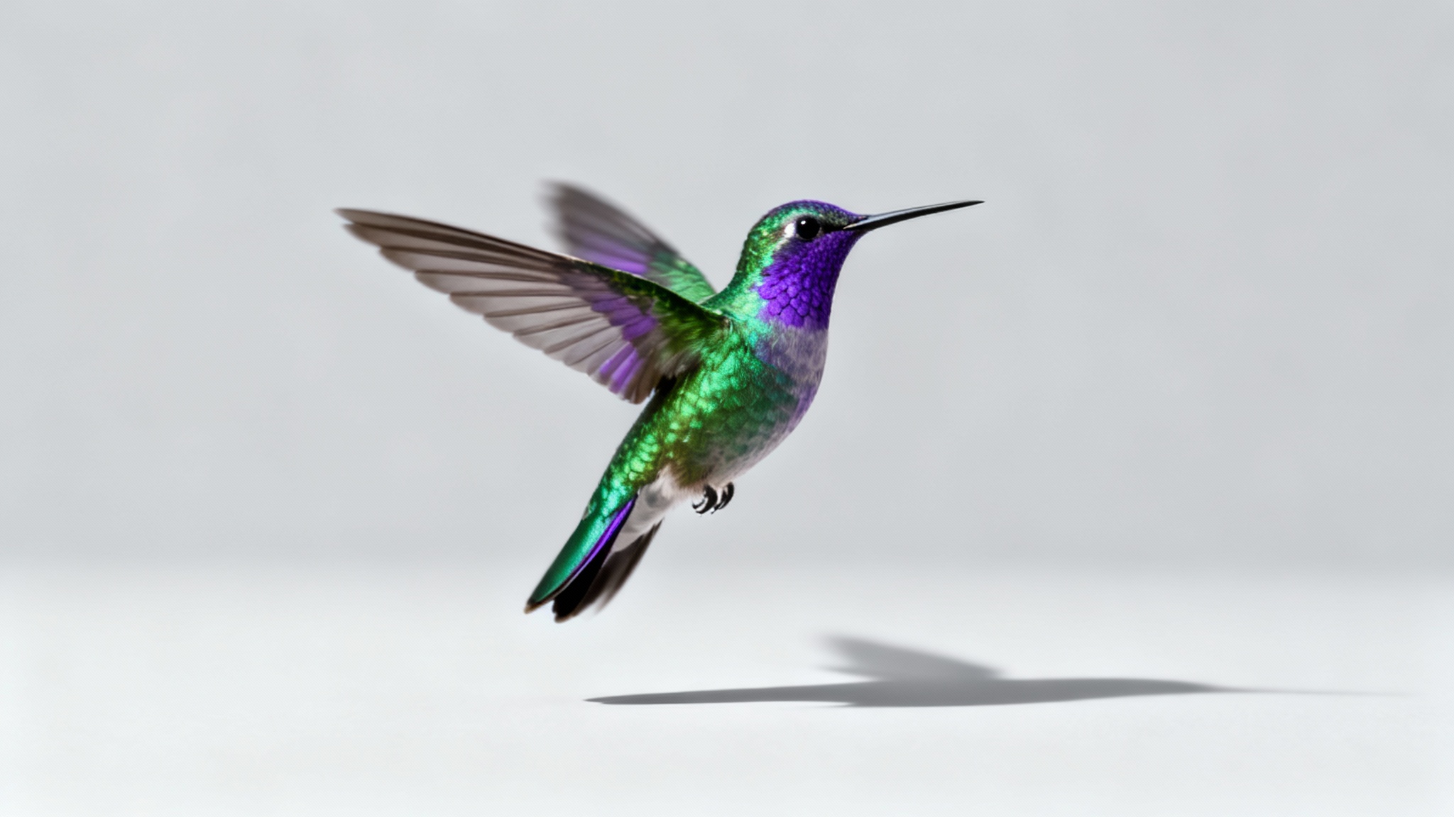 A photorealistic hummingbird with iridescent feathers, shown as a high-quality PNG with a transparent background, placed over a clean light-gray background to demonstrate its use in a design project.