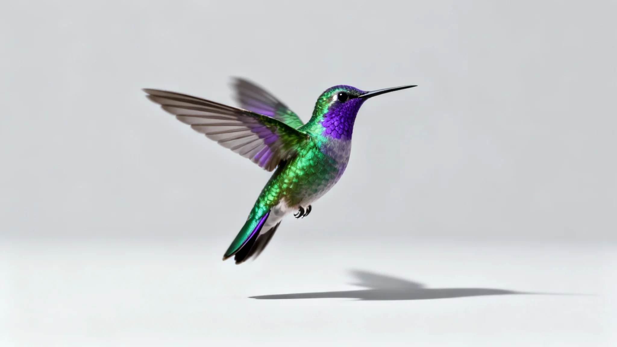 A photorealistic hummingbird with iridescent feathers, shown as a high-quality PNG with a transparent background, placed over a clean light-gray background to demonstrate its use in a design project.