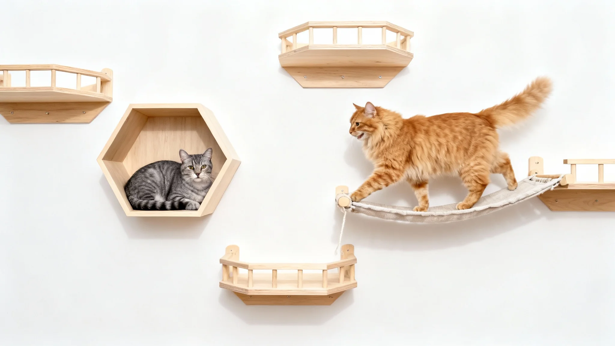 A modern cat wall with hexagonal wooden shelves and a bridge is shown against a white background, with two cats playing and resting on it.