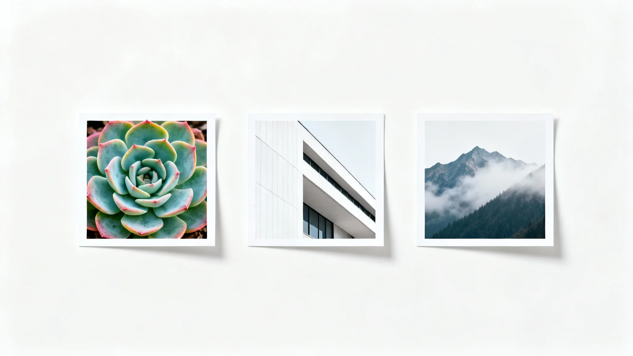 Three perfectly aligned photo prints of a succulent, architecture, and a mountain range, displayed in a neat horizontal row on a white background, demonstrating photo alignment.