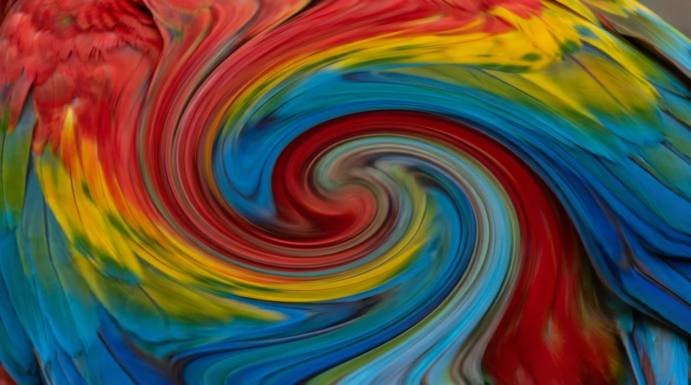 A close-up photograph of a colorful macaw bird, manipulated with a liquify effect that transforms its feathers into a vibrant, swirling vortex of color.