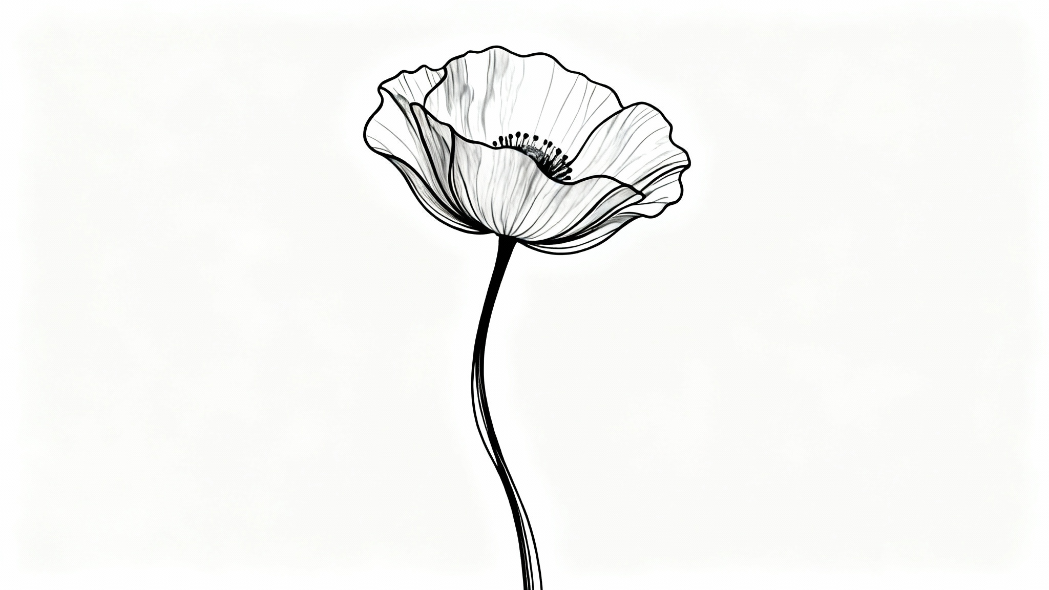 A minimalist black and white line art drawing of a poppy flower, created with a single continuous line on a plain white background.