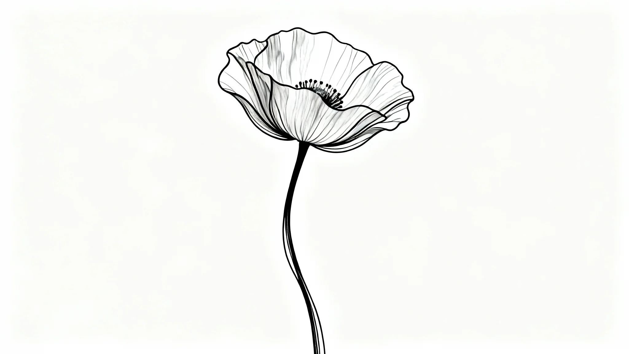 A minimalist black and white line art drawing of a poppy flower, created with a single continuous line on a plain white background.