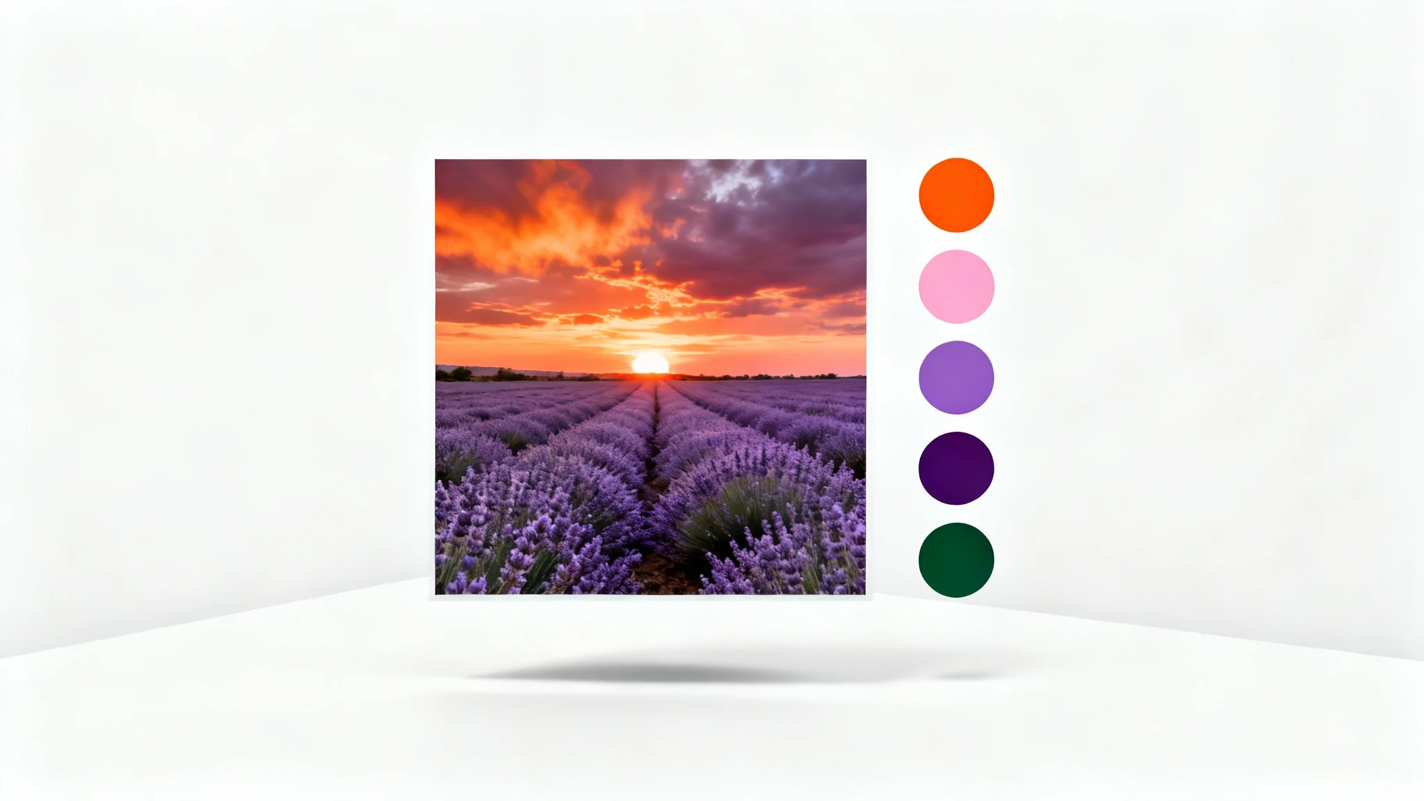 A conceptual image showing a color palette extracted from a photograph. On the left is a photo of a vibrant sunset over a lavender field, and on the right is a vertical row of five color circles in orange, pink, violet, purple, and green, matching the photo's colors, all on a clean white background.