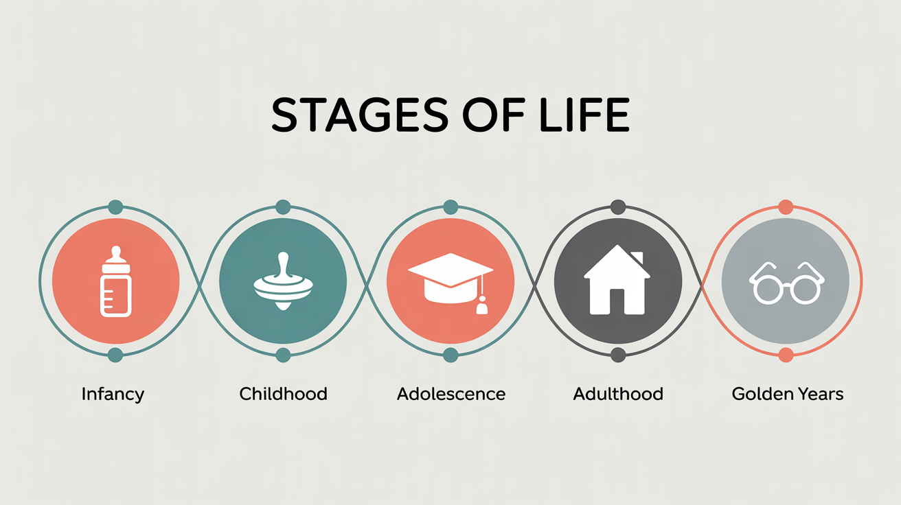 A clean, modern infographic mockup illustrating the five stages of life, from infancy to the golden years, using simple vector icons and a connecting timeline on a white background.