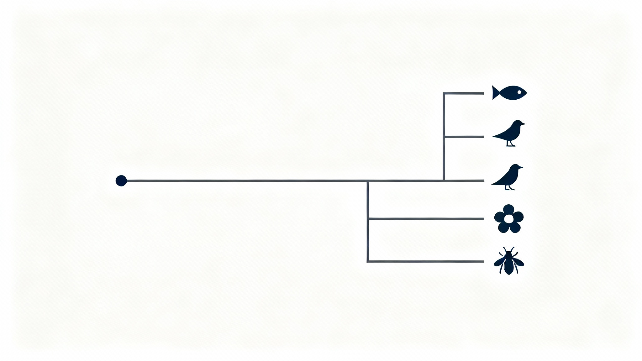 A modern, minimalist illustration of a cladogram, or evolutionary tree, with clean branching lines and simple icons on a plain white background.