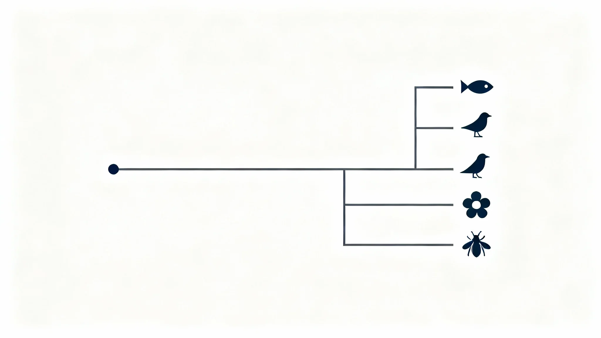 A modern, minimalist illustration of a cladogram, or evolutionary tree, with clean branching lines and simple icons on a plain white background.