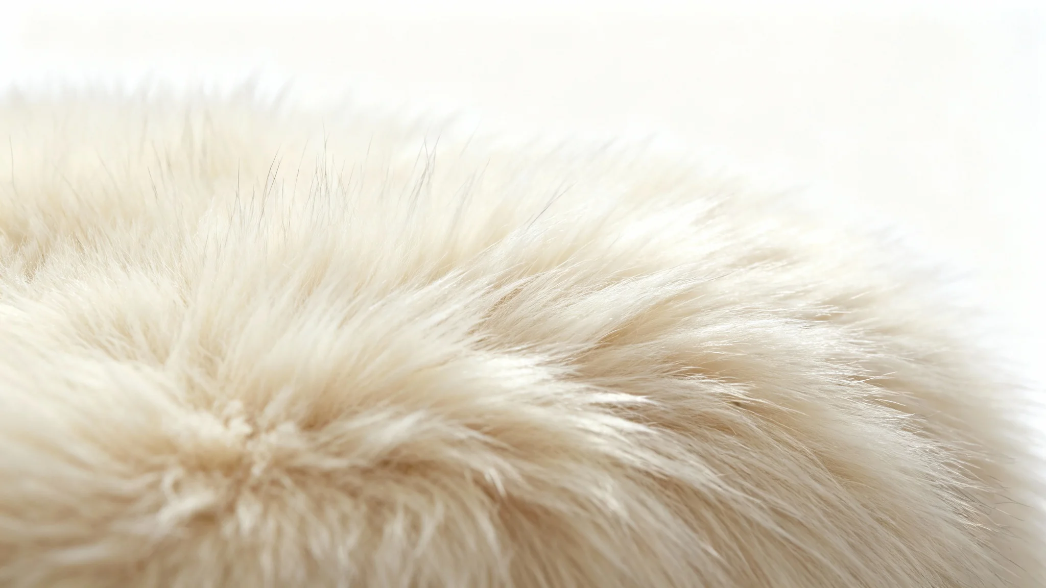 An extreme close-up, hyper-realistic image of a soft, fluffy fur texture in a creamy off-white color, set against a plain white background to emphasize its plush details.