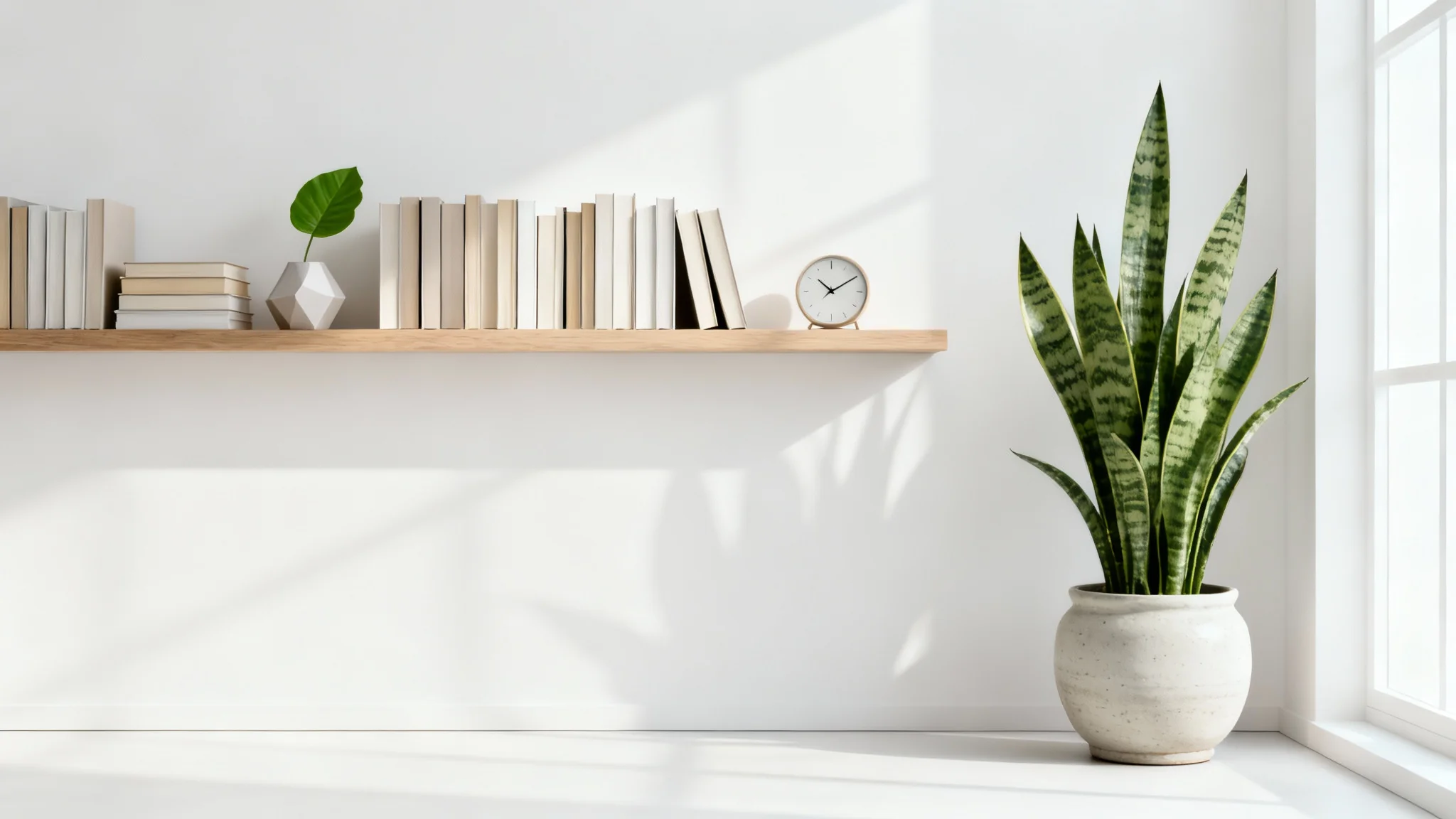 A modern and minimalist home office background featuring a neat wooden shelf with books and a plant against a clean white wall, designed for virtual meetings.