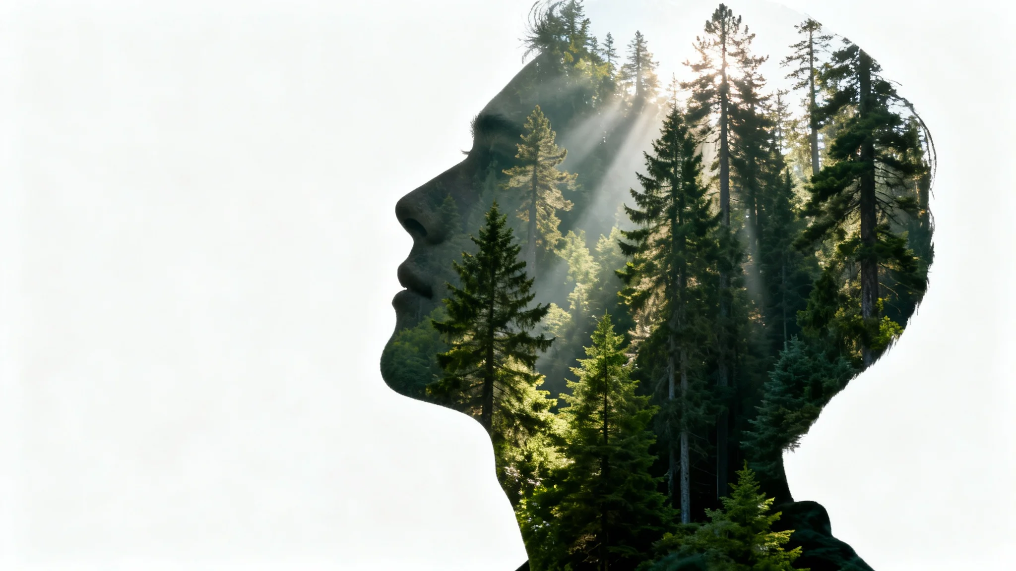 A creative double exposure image showing a person's silhouette filled with a detailed photograph of a sunlit forest, set against a plain white background.