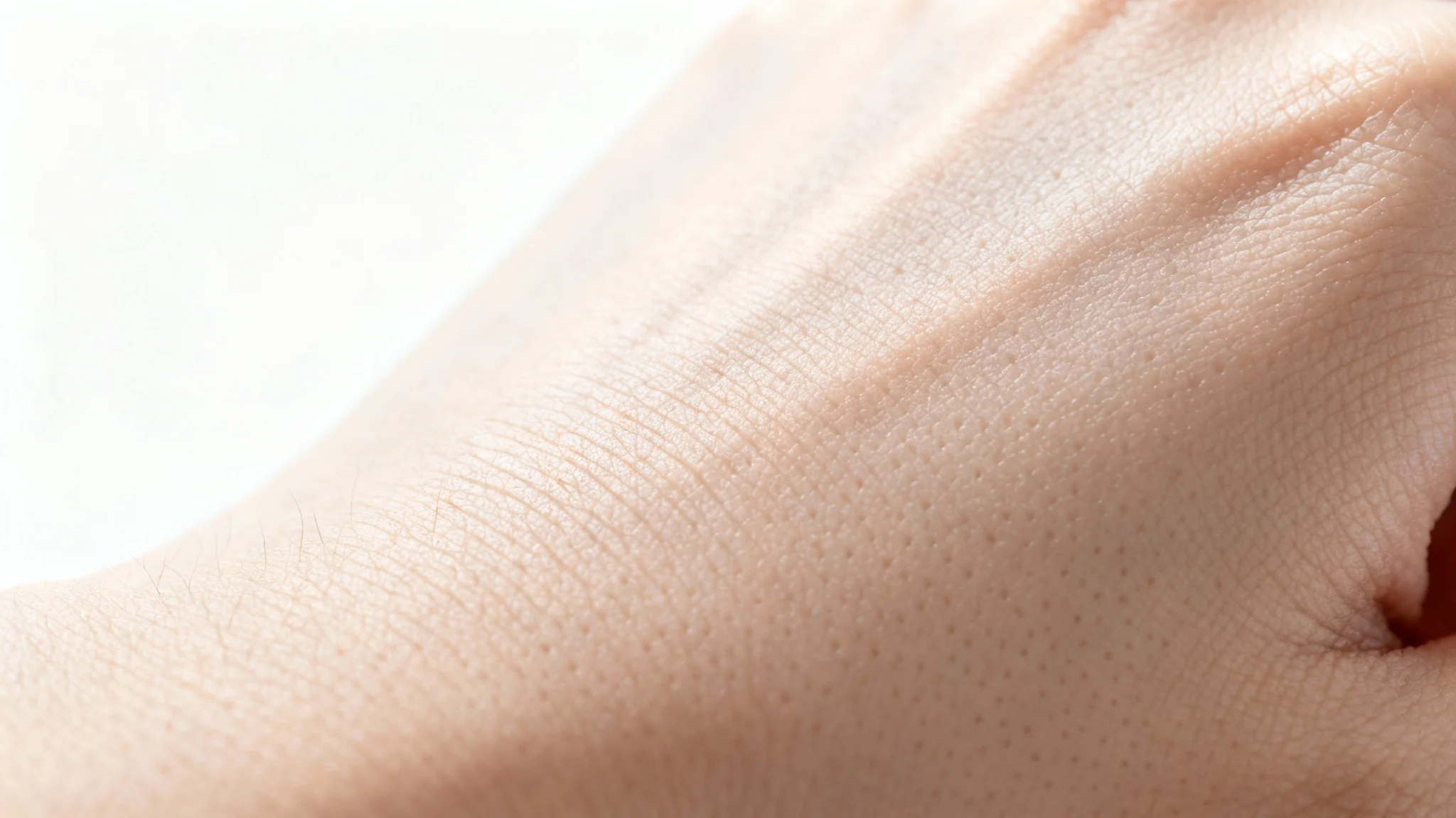 A hyper-detailed macro close-up of human skin texture, showing pores and fine lines, presented against a clean white background.