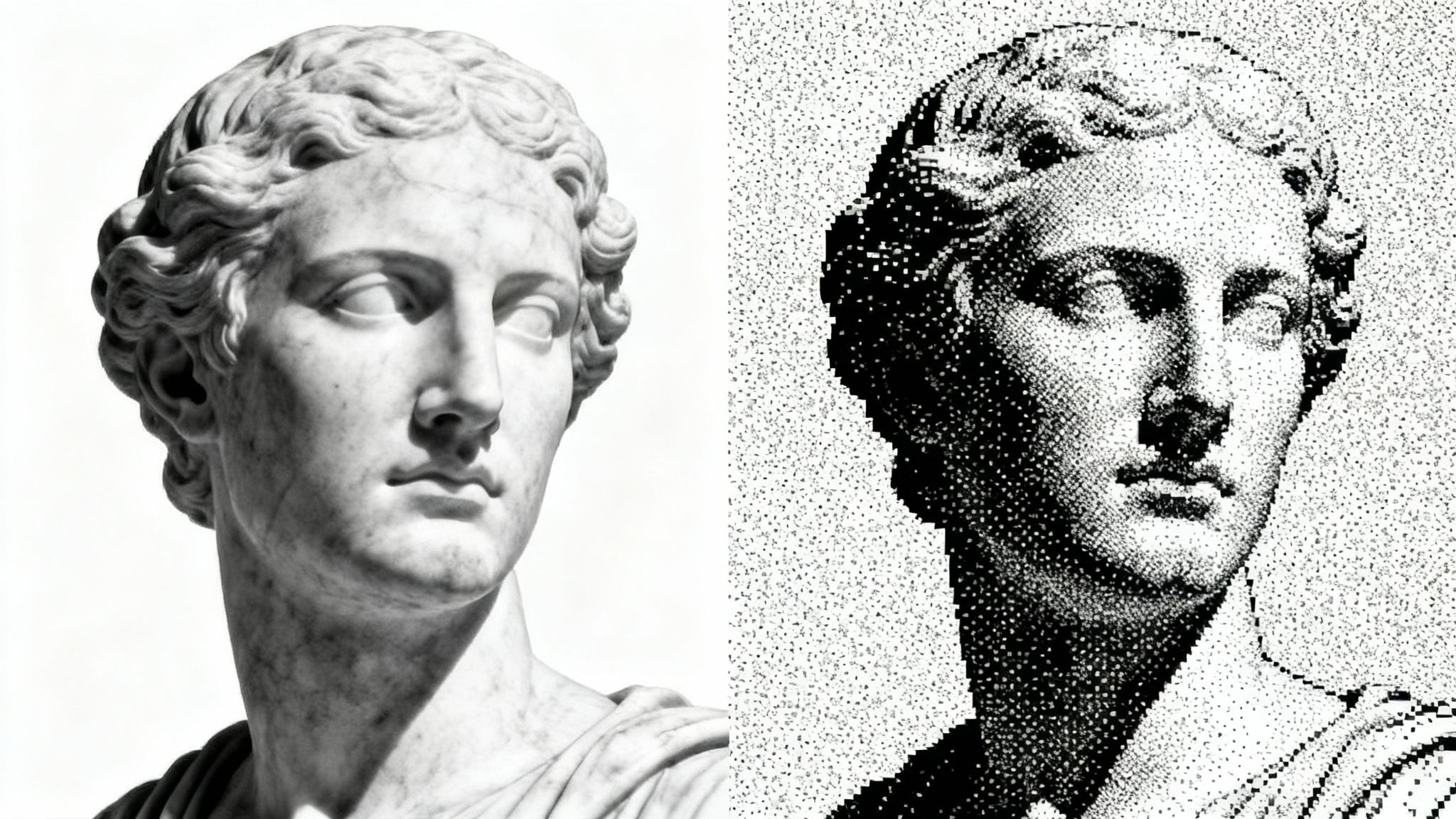 A split-screen image demonstrating a grayscale to bitmap conversion. The left side shows a realistic grayscale photo of a marble bust, and the right side shows the same bust converted into a 1-bit black and white image with a visible dithered pixel pattern.