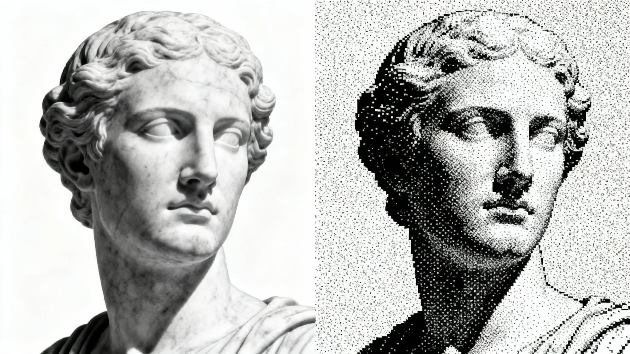 A split-screen image demonstrating a grayscale to bitmap conversion. The left side shows a realistic grayscale photo of a marble bust, and the right side shows the same bust converted into a 1-bit black and white image with a visible dithered pixel pattern.