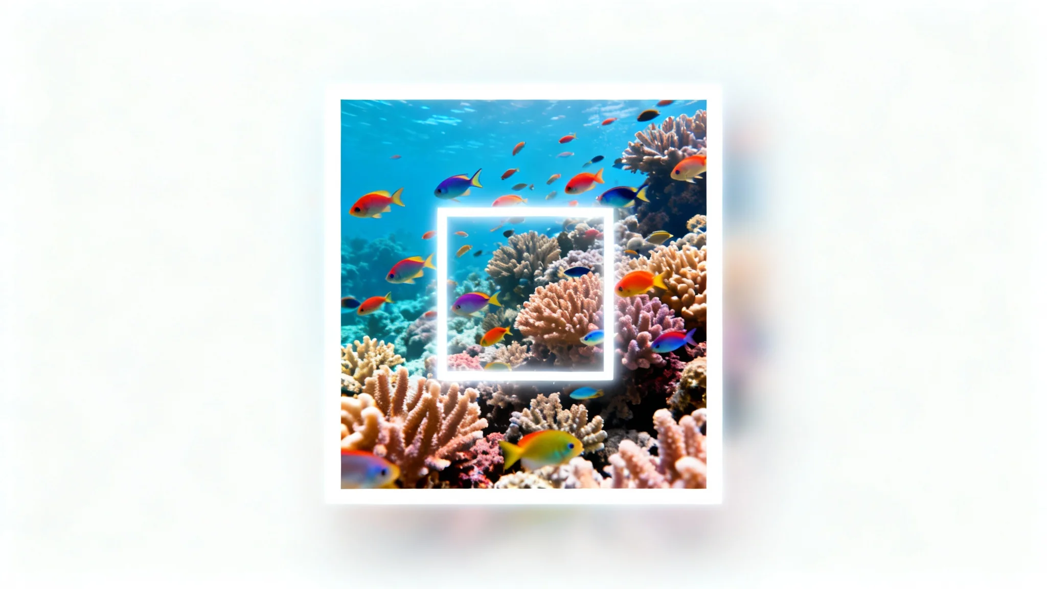 A conceptual illustration of a square image crop, showing a rectangular photo of a coral reef with a bright, focused square in the center, while the outer areas are faded.