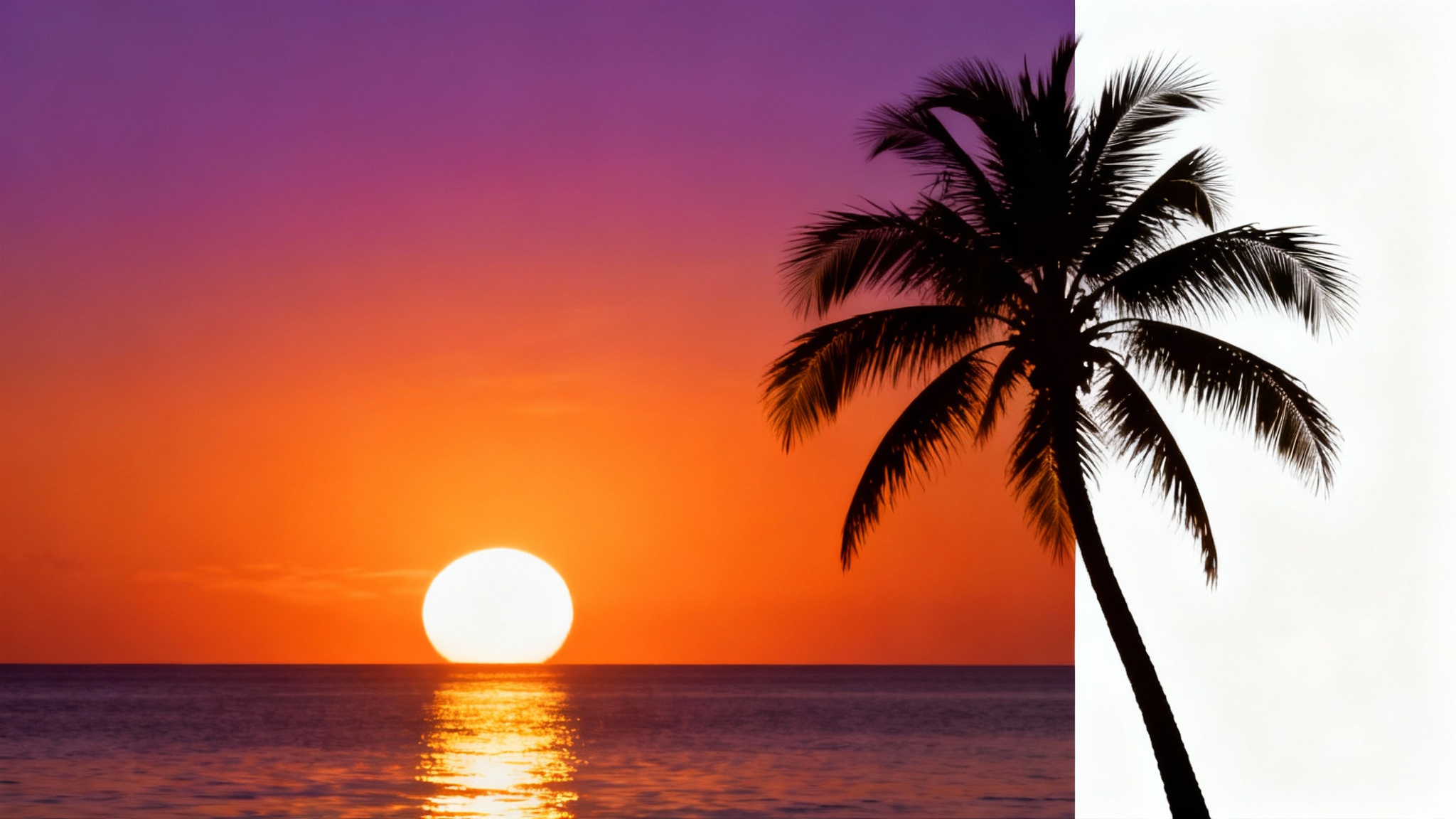 Silhouette of a single palm tree against a dramatic orange and purple sunset over the ocean.