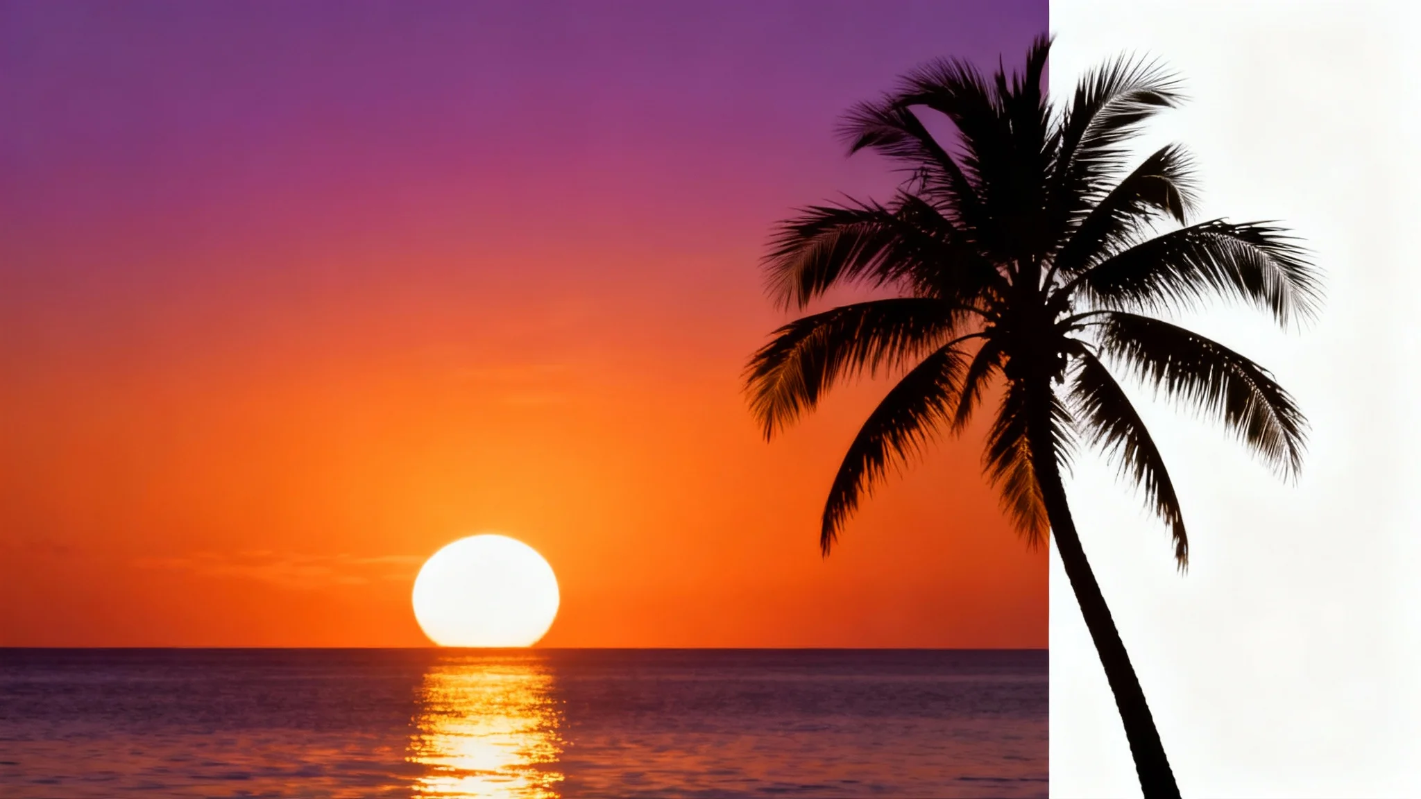 Silhouette of a single palm tree against a dramatic orange and purple sunset over the ocean.