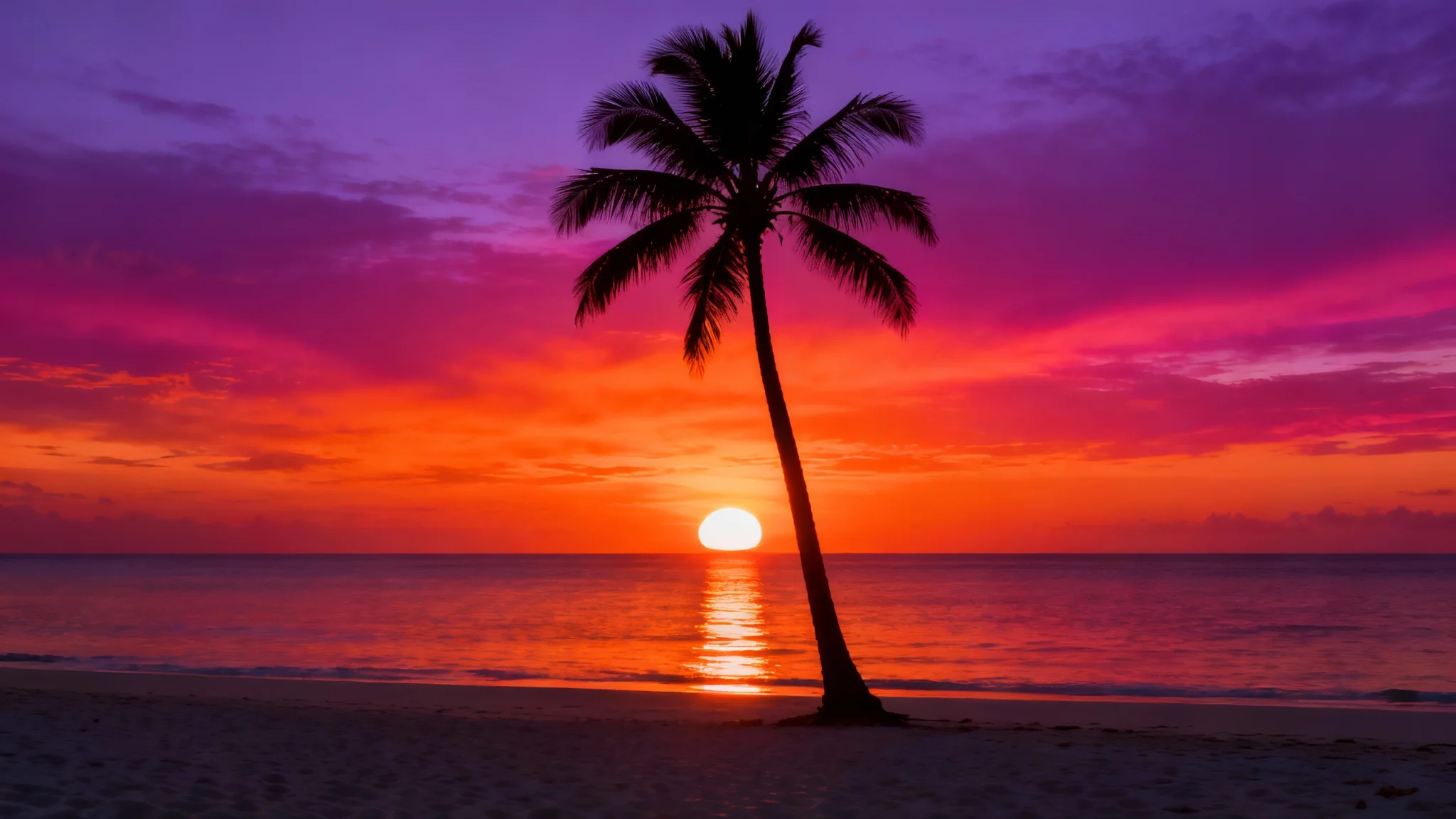 A stunning silhouette of a single palm tree on a beach against a fiery orange and purple sunset over the ocean.