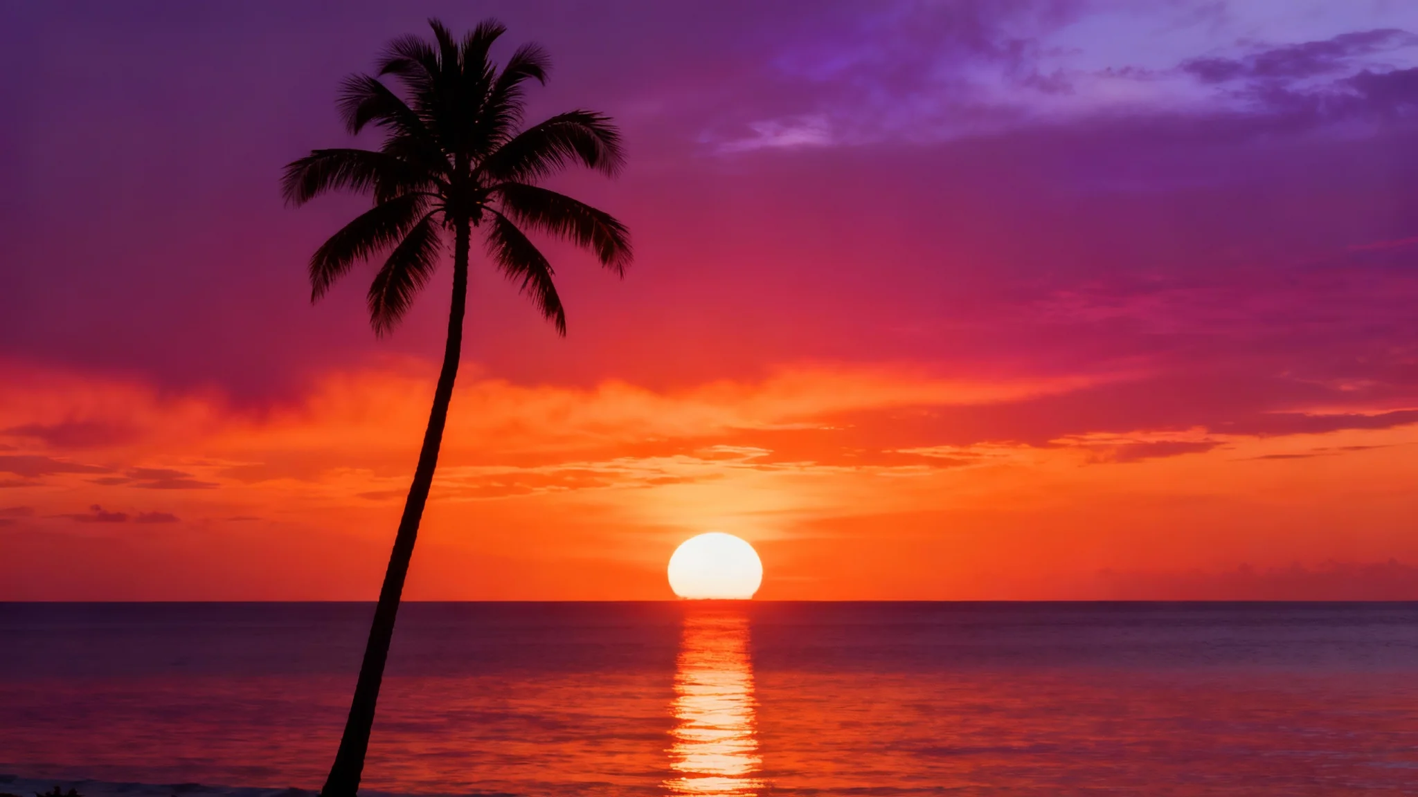 A single, tall palm tree silhouetted against a vibrant orange and purple sunset over a calm ocean.
