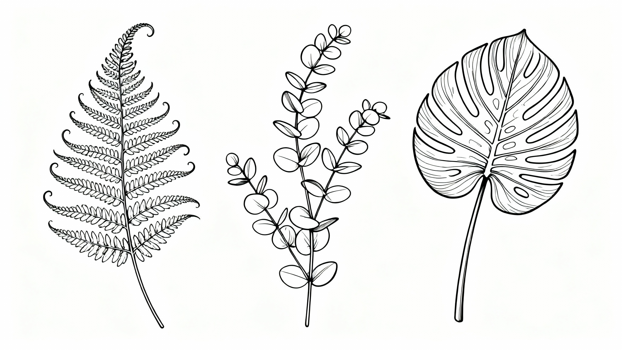 A minimalist black line art illustration of a fern frond, eucalyptus sprig, and monstera leaf arranged on a clean white background, demonstrating a botanical art style.