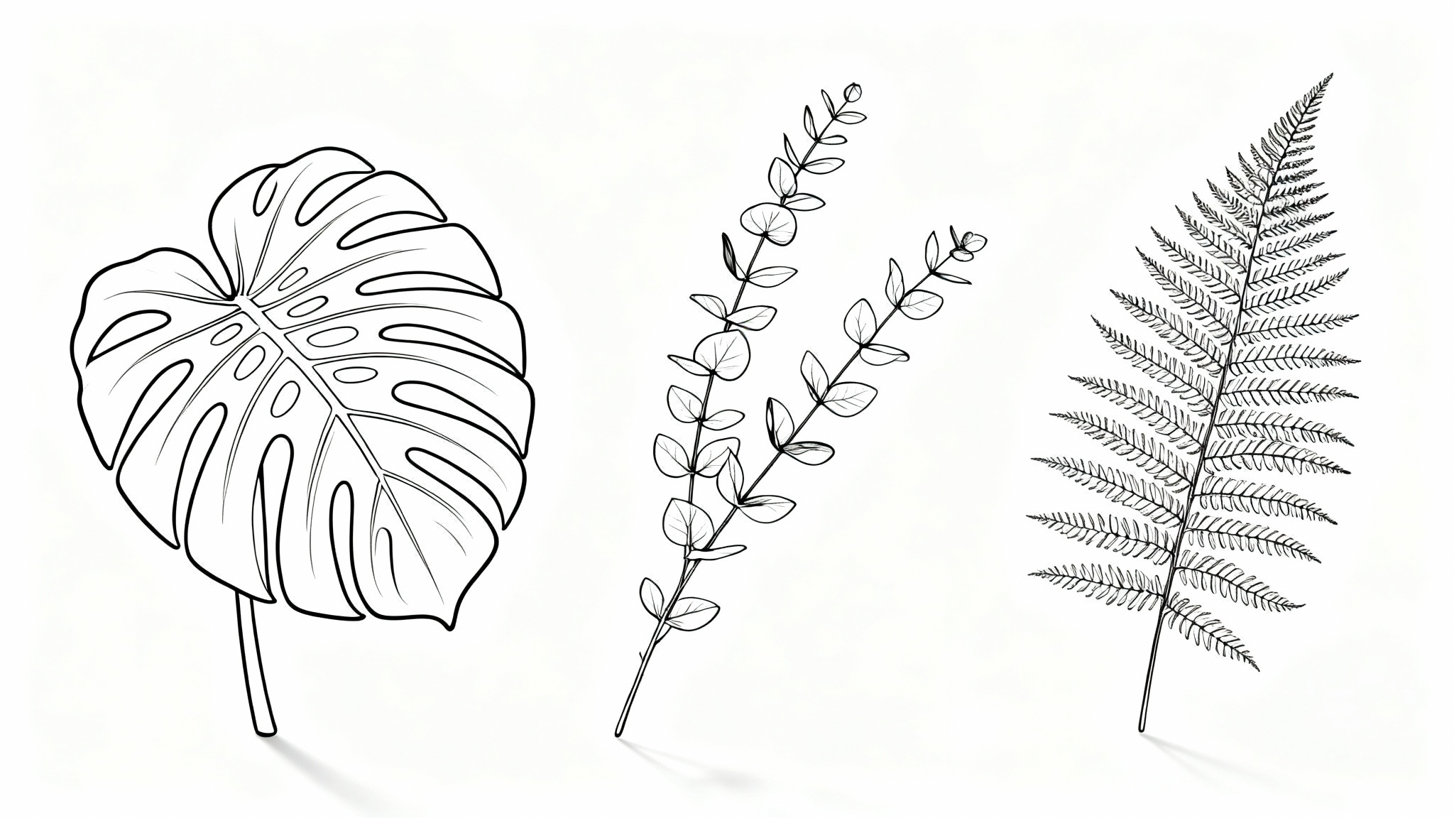 An elegant display of three minimalist botanical line art drawings on a white background. The drawings depict a monstera leaf, a eucalyptus branch, and a fern in clean, black lines.
