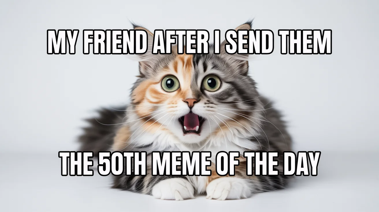 A funny meme mockup about sending too many memes on Discord, featuring a shocked-looking calico cat with text above and below it.