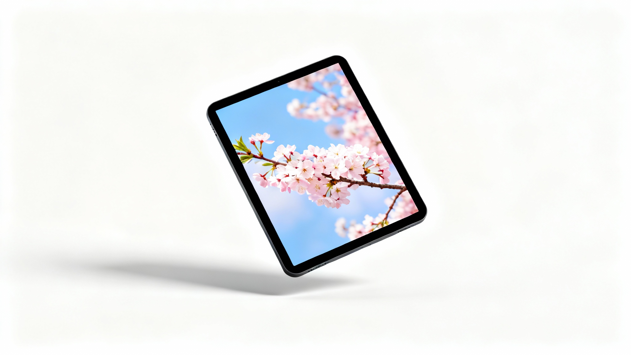 A modern mockup of a digital frame with a transparent border. Inside the thin black frame is a photo of cherry blossoms, and the frame casts a soft shadow on a clean white background.