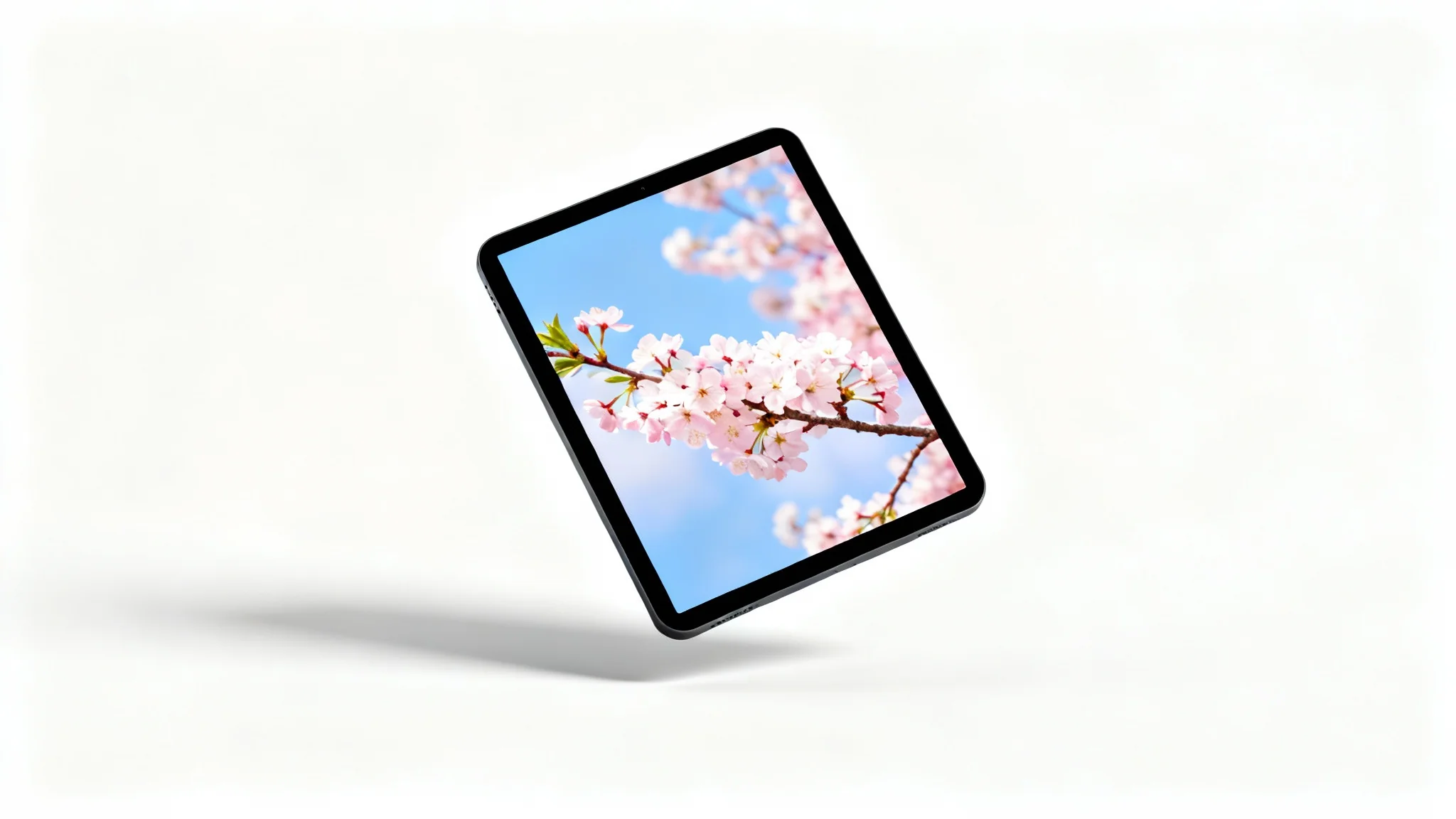 A modern mockup of a digital frame with a transparent border. Inside the thin black frame is a photo of cherry blossoms, and the frame casts a soft shadow on a clean white background.