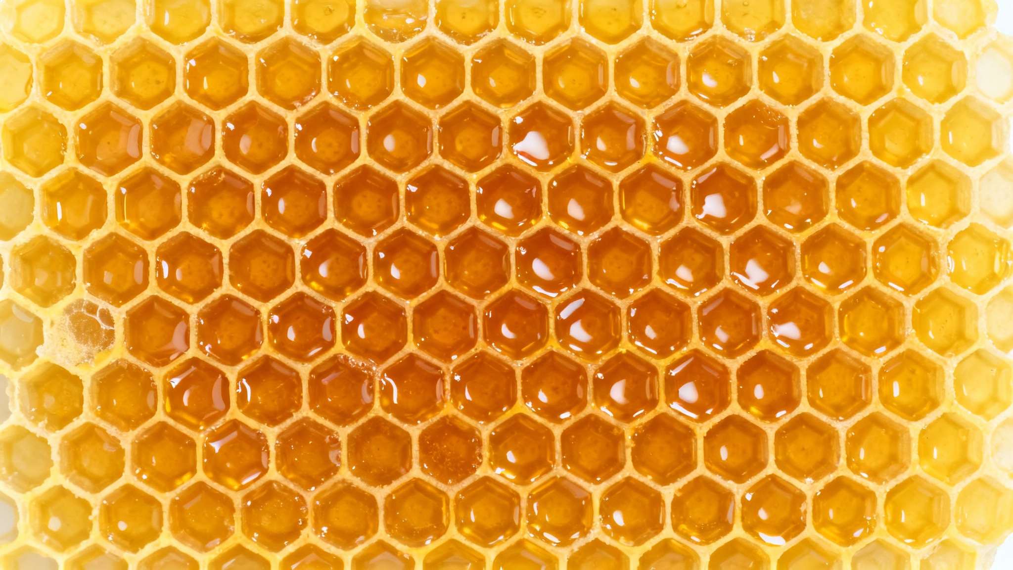 A close-up, photorealistic image of a seamless honeycomb texture, with each cell filled to the brim with glistening golden honey, set against a plain white background.