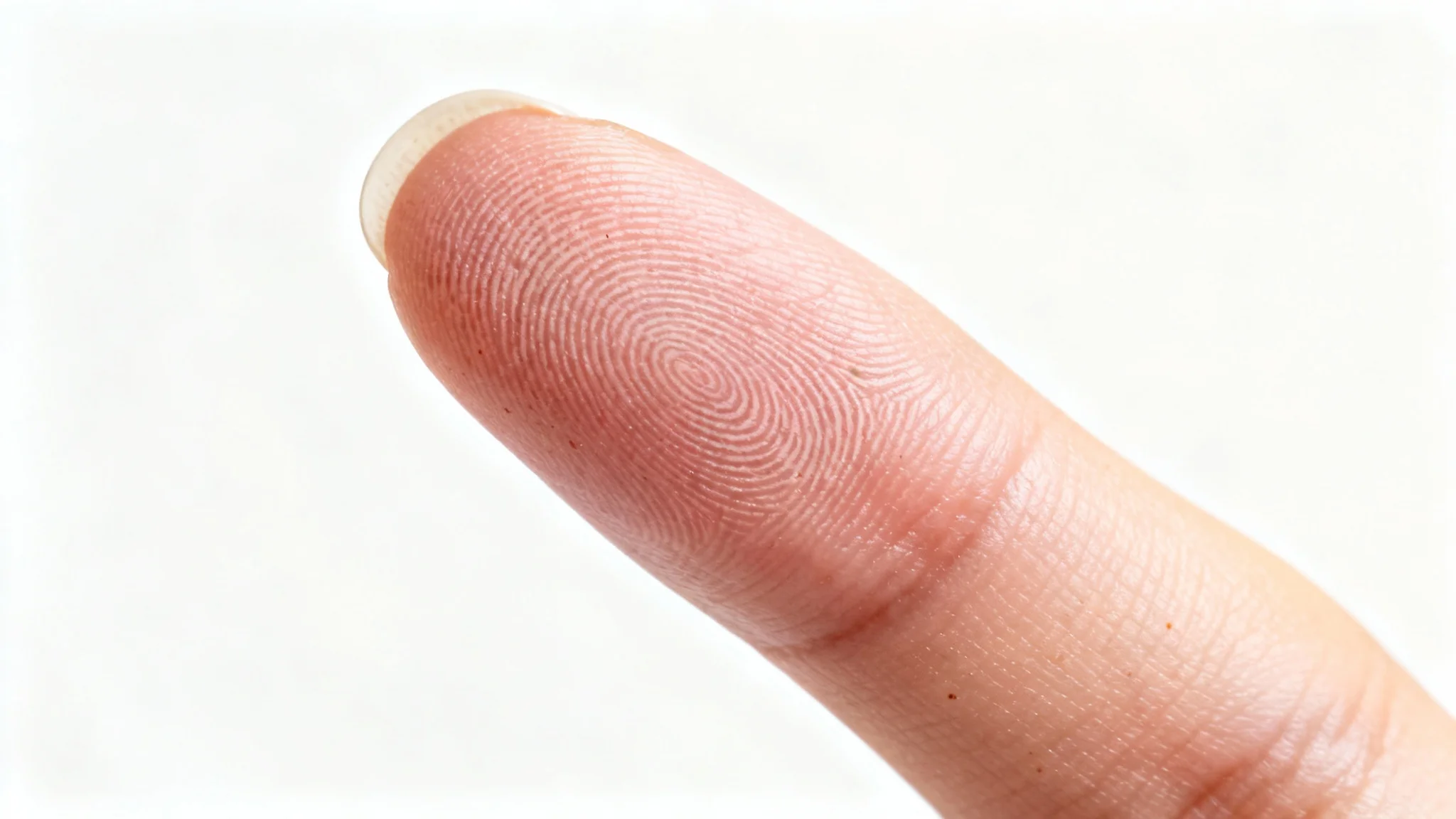 A detailed macro shot of a human index finger, showing the fingerprint and nail in sharp focus against a clean white background.