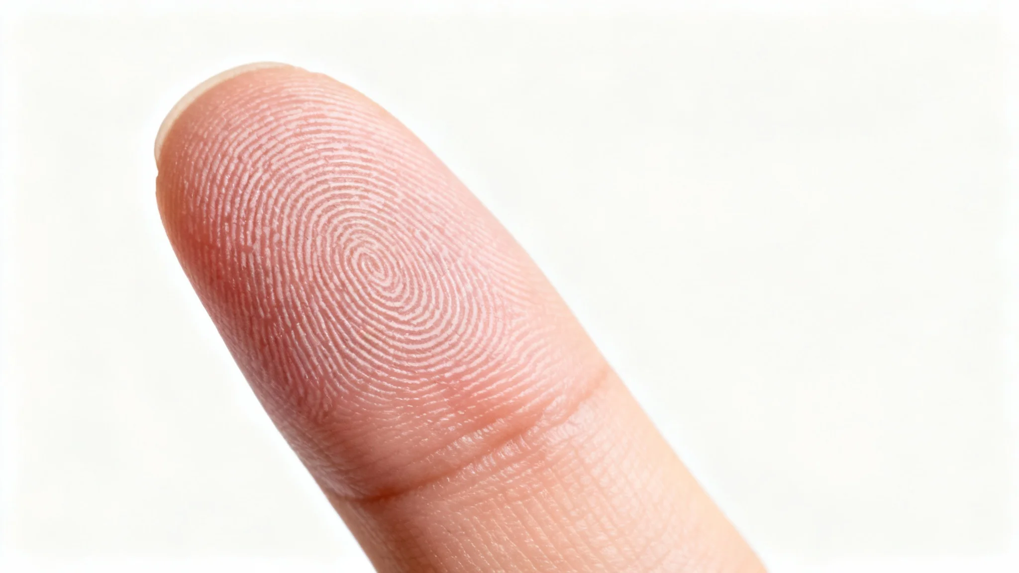 A hyper-detailed macro photograph of a human index finger, focusing on the unique texture of the fingerprint against a plain white background.