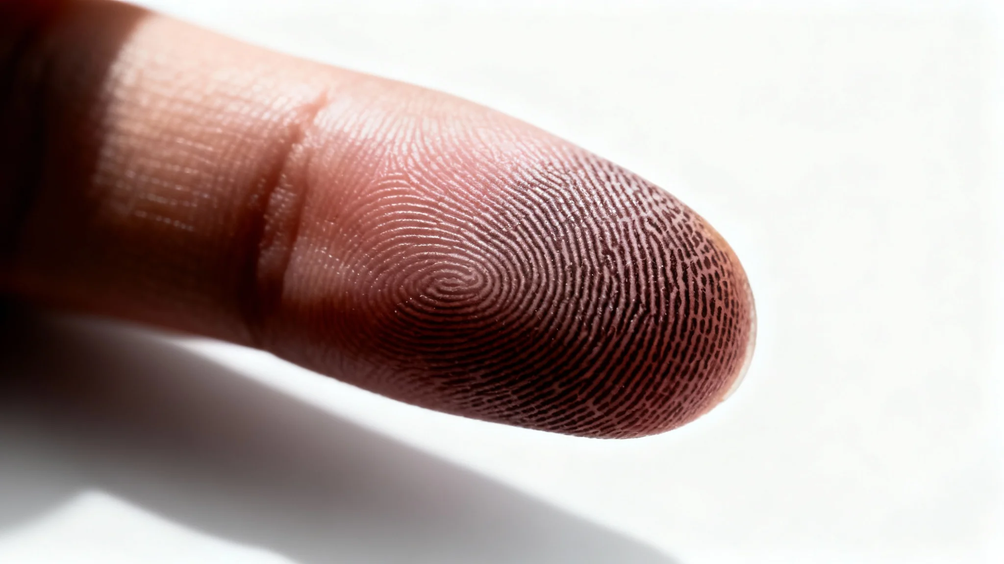 An extreme close-up, hyper-realistic macro shot of a human fingerprint, with dramatic lighting highlighting the intricate details of the skin's ridges and whorls against a clean white background.